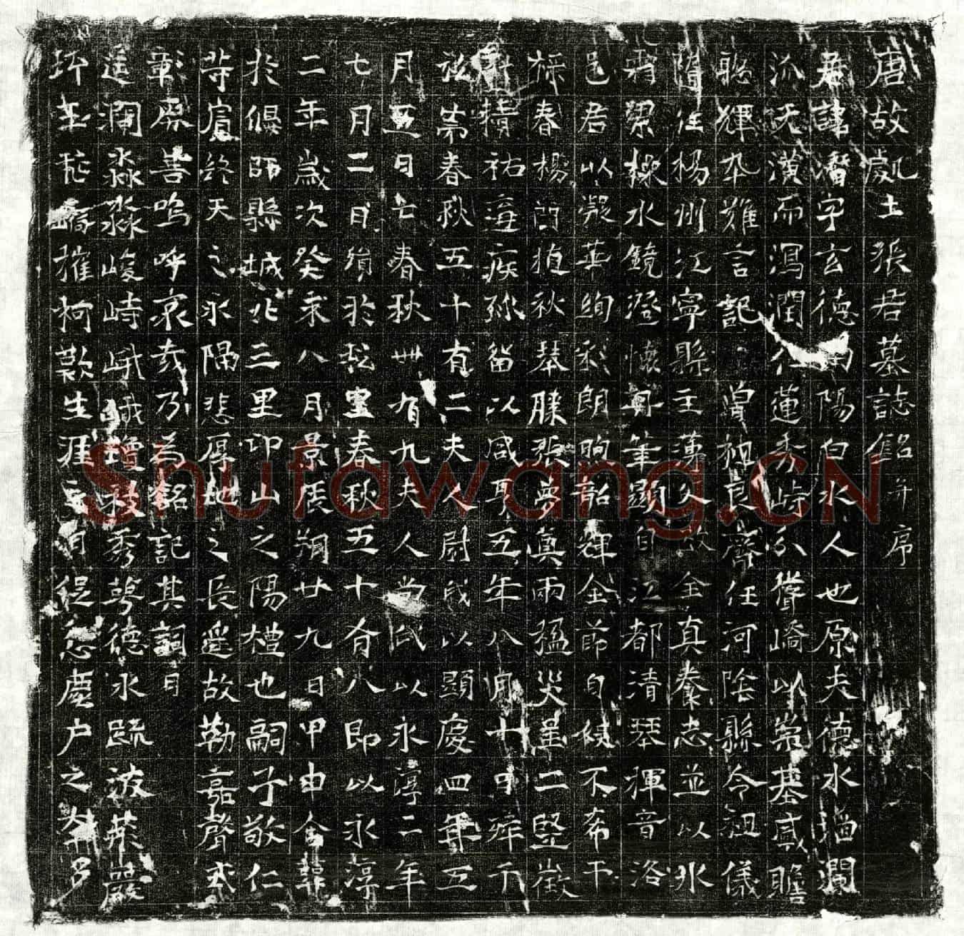 唐张潜墓誌(唐故处士张君墓志铭并序)