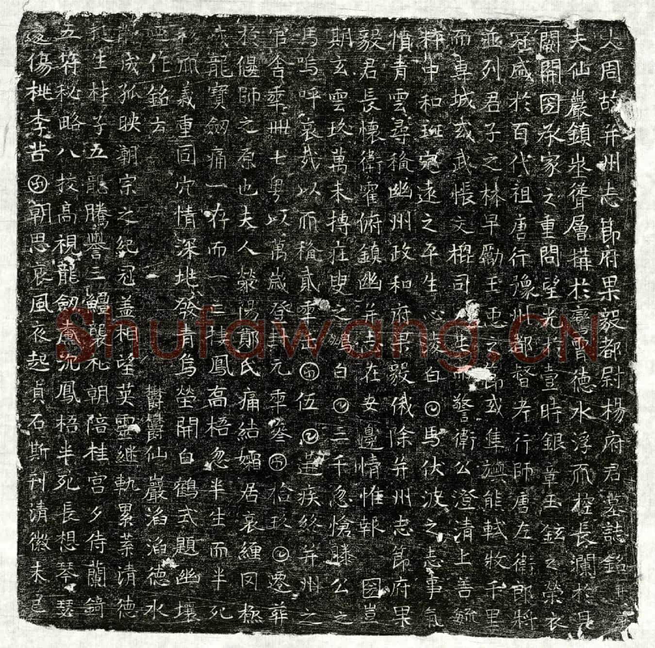 唐杨君墓誌(大周故并州志节府果毅都尉杨府君墓誌铭并序)