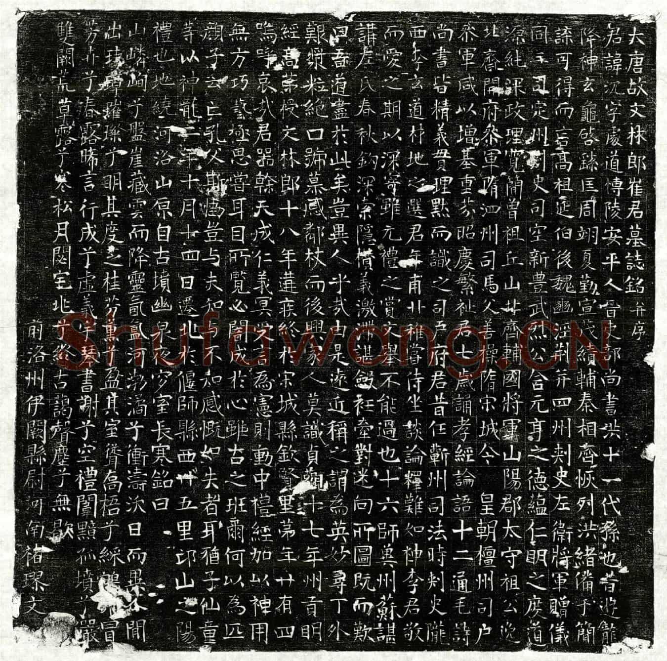 唐崔沉墓誌(大唐故文林郎崔君墓誌铭并序)