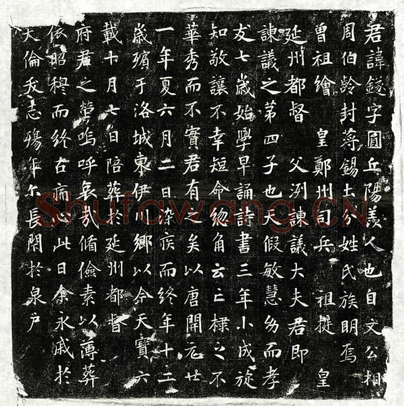 唐蒋鐩墓誌