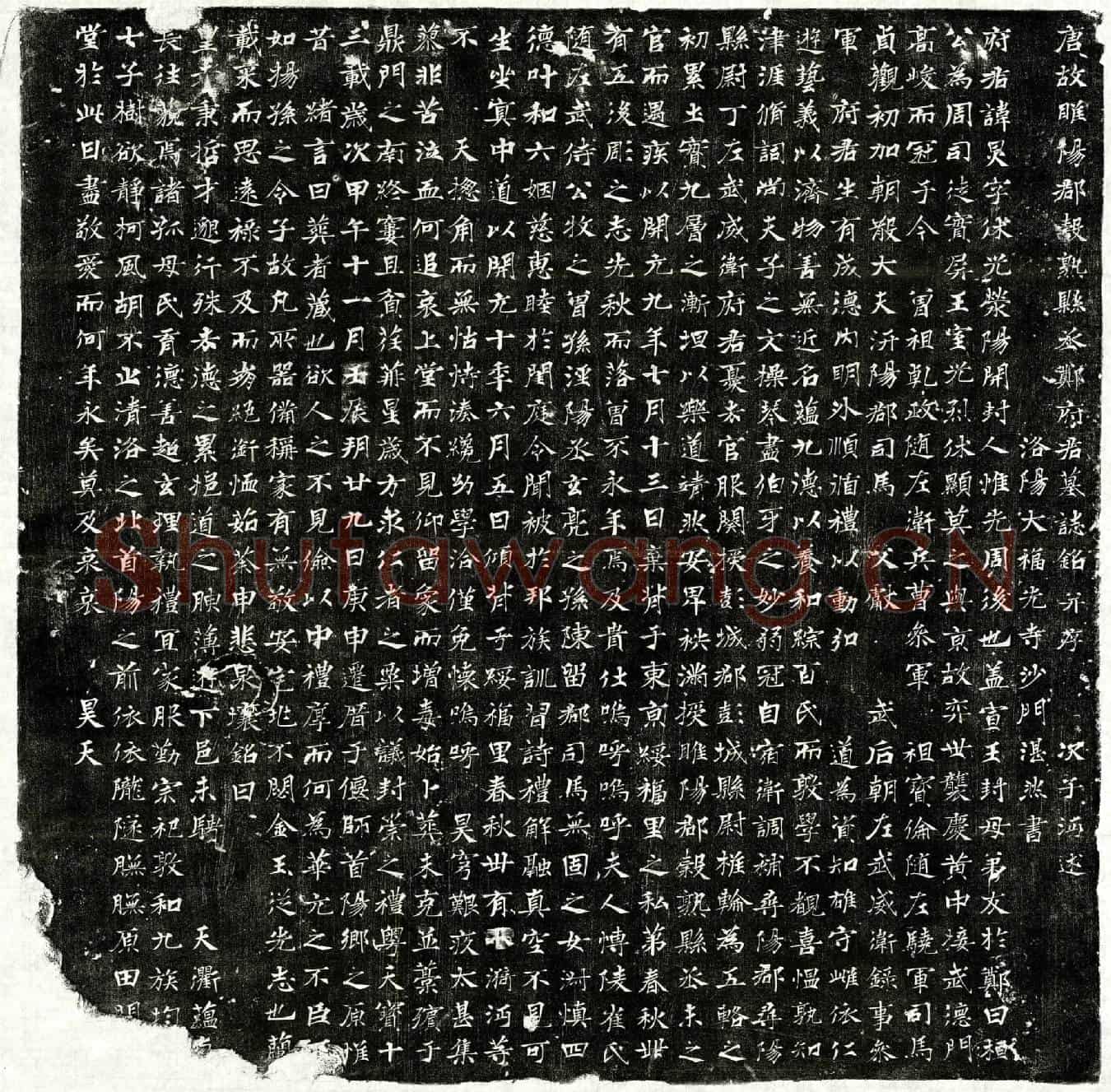 唐郑炅墓誌(唐故睢阳郡穀熟县丞郑府君墓誌铭并序)
