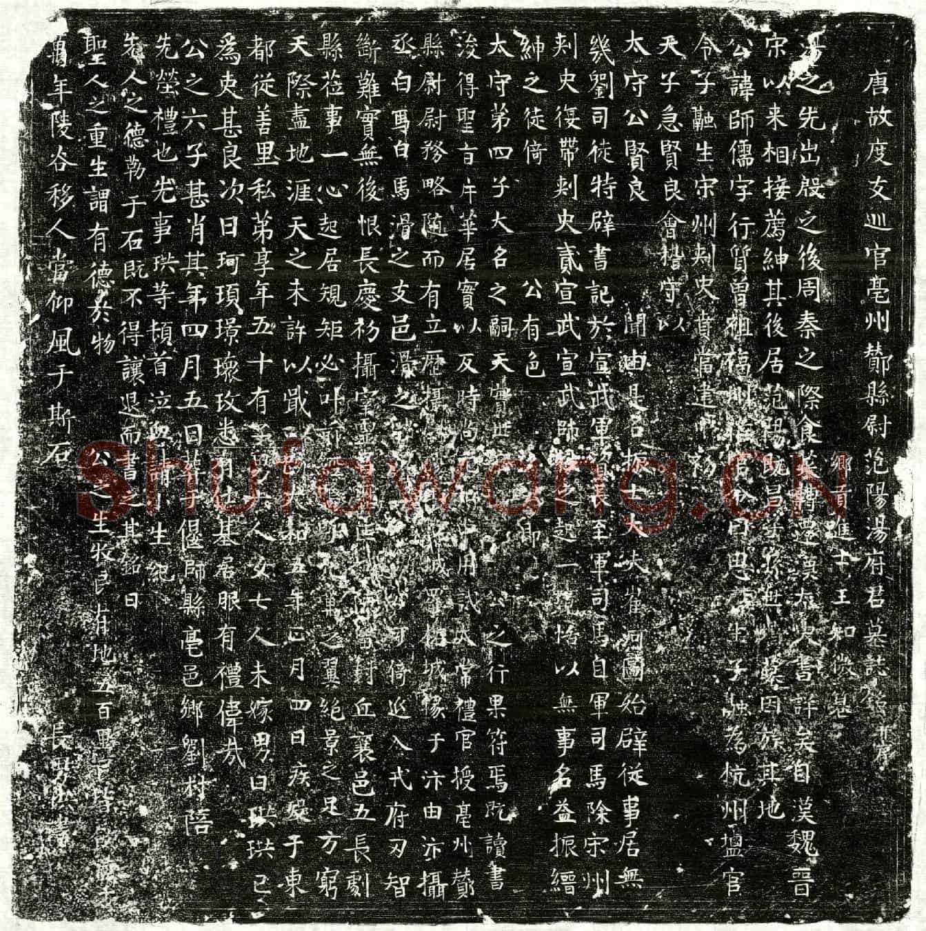 唐汤师儒墓誌(唐故度支巡官亳州酂县尉范阳汤府君墓誌铭并序)