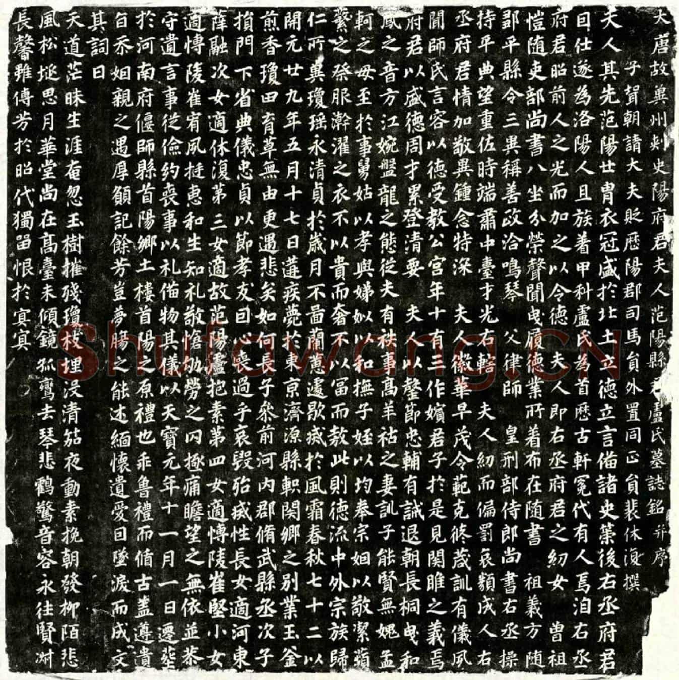 唐阳君妻卢氏墓誌(大唐故冀州刺史阳府君夫人范阳县君卢氏墓誌铭并序)