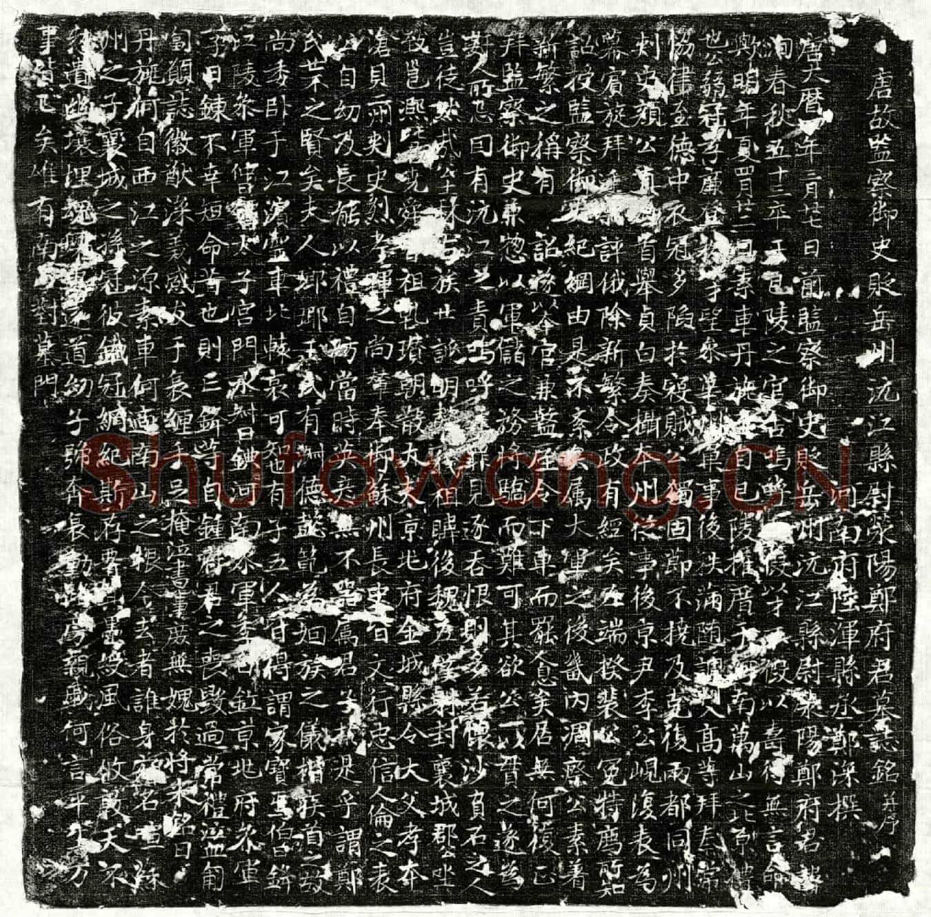 唐郑洵墓誌(唐故监察御史贬岳州沅江县尉荥阳郑府君墓誌铭并序)