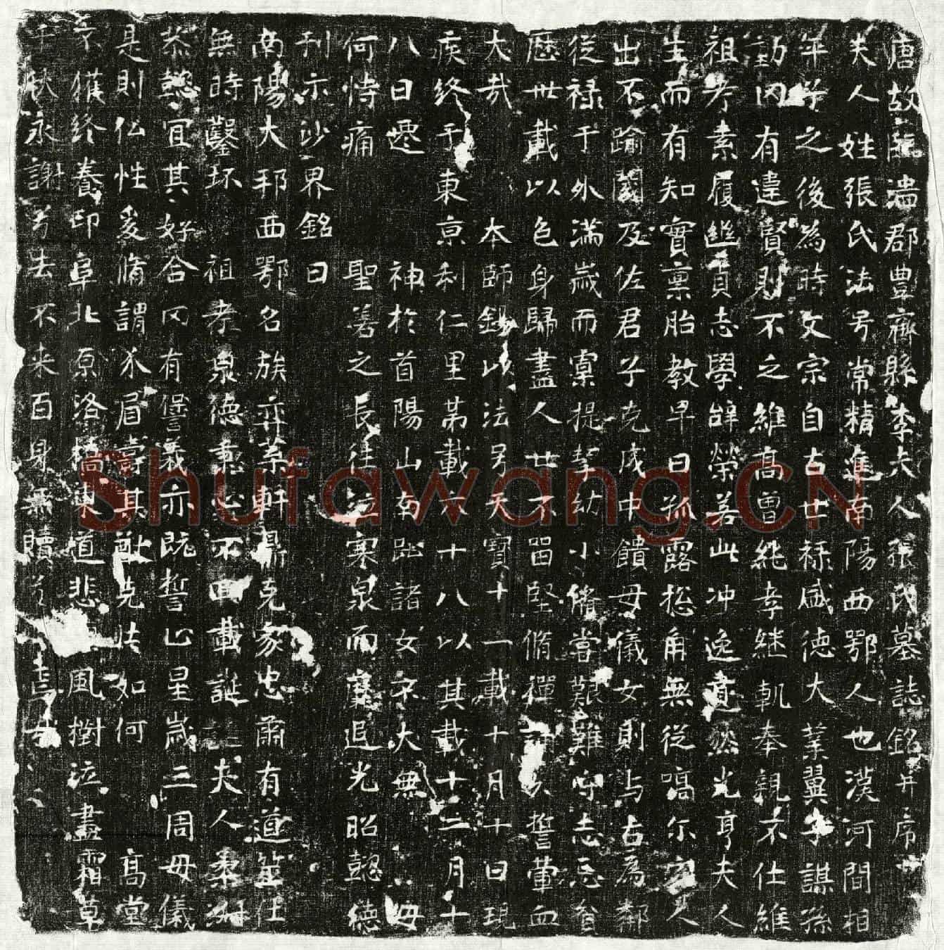 唐李君妻张常精进墓誌(唐故临淄郡丰齐县李夫人张氏墓誌铭并序)