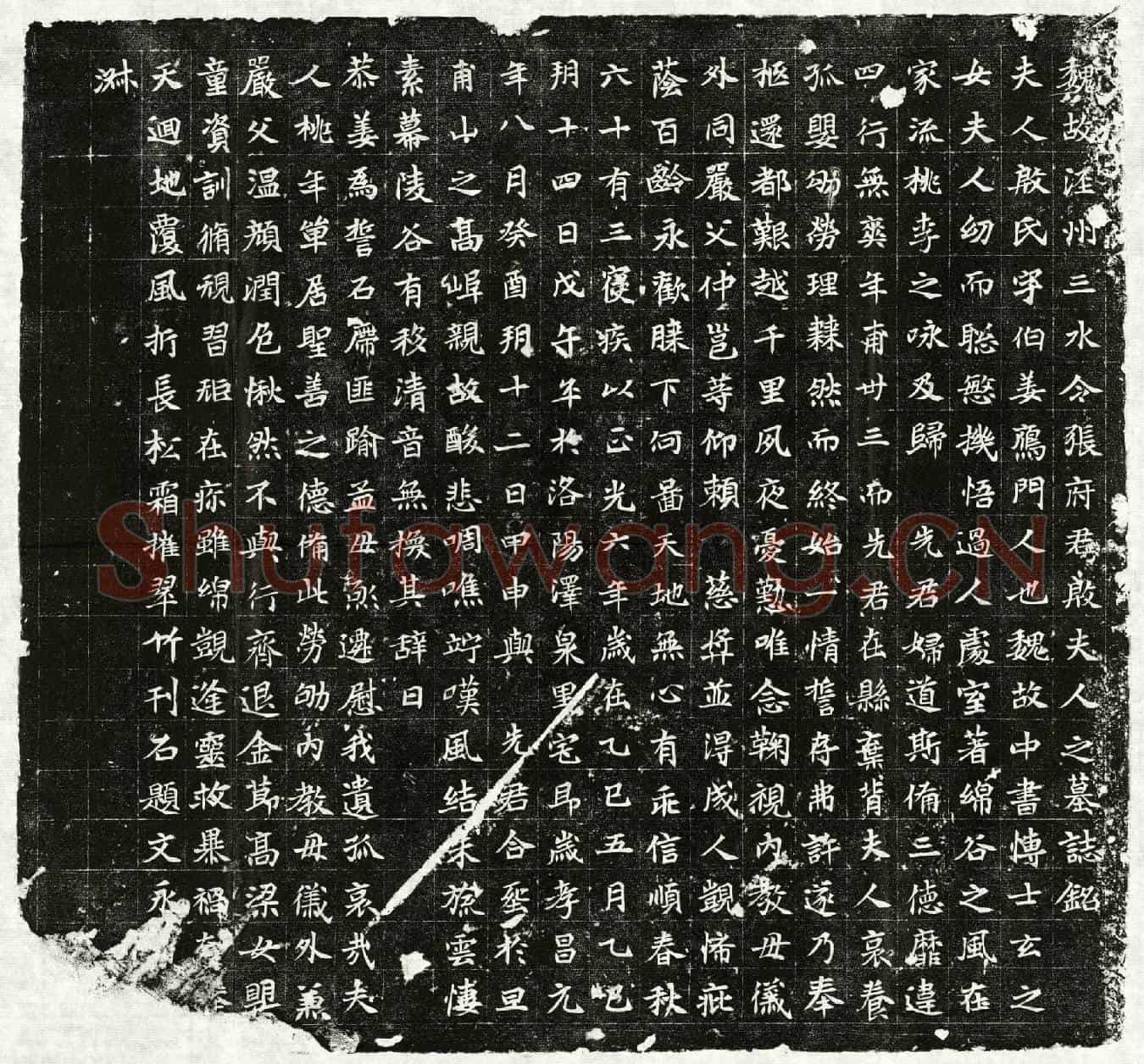 北朝张君妻殷伯姜墓誌(魏故泾州三水令张府君殷夫人之墓誌铭)