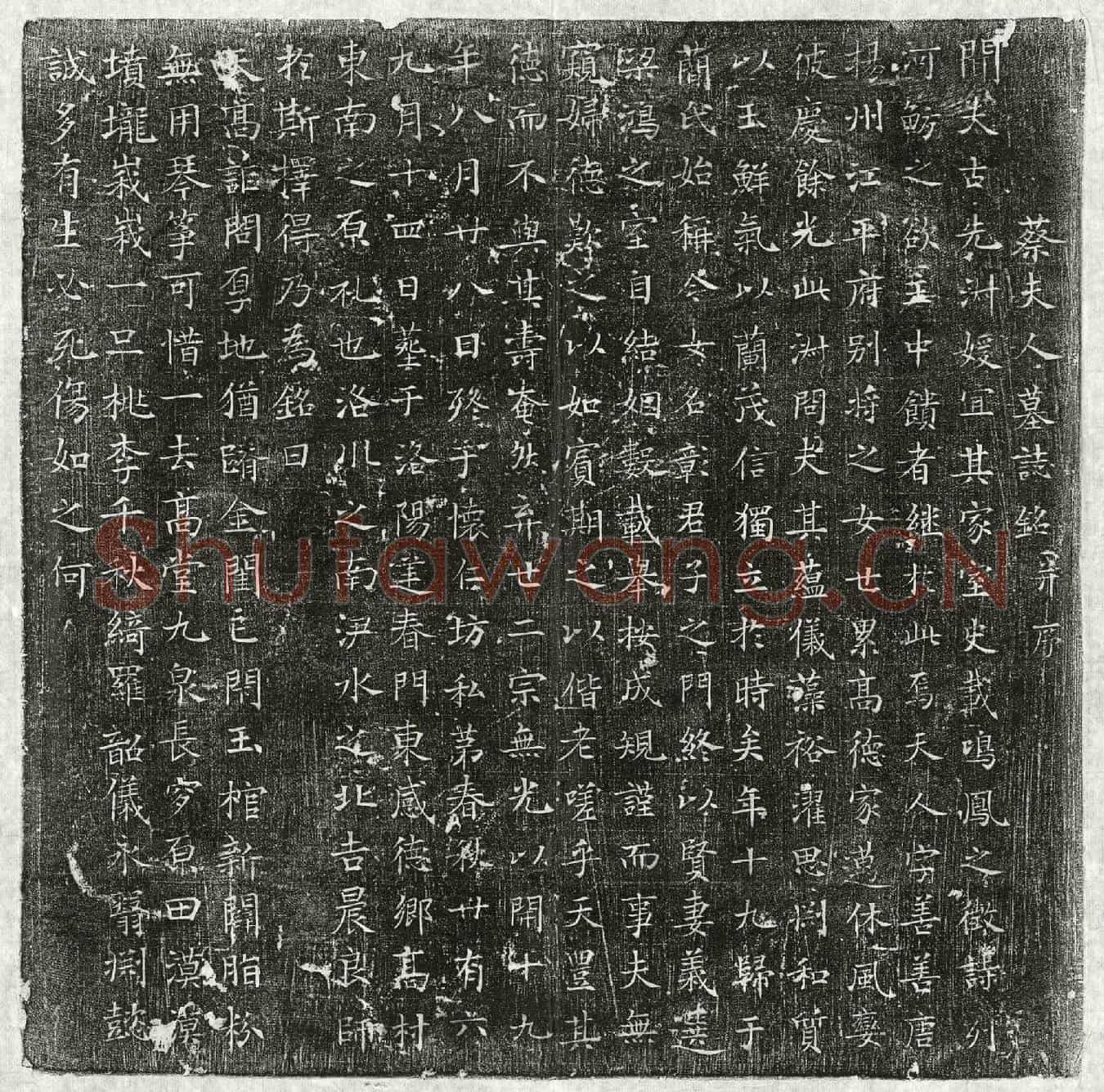 唐蕳君妻蔡善善墓誌(蔡夫人墓誌铭并序)