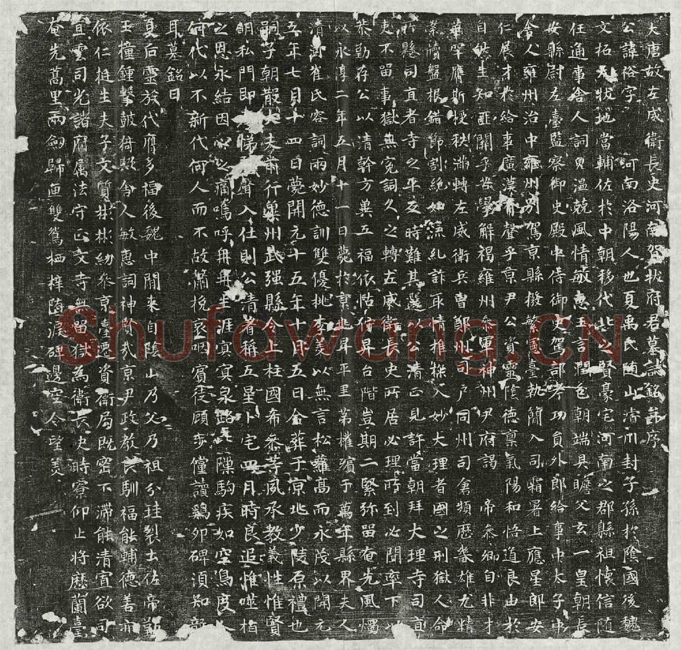 唐贺拔裕墓誌(大唐故左威卫长史河南贺拔府君墓誌铭并序)