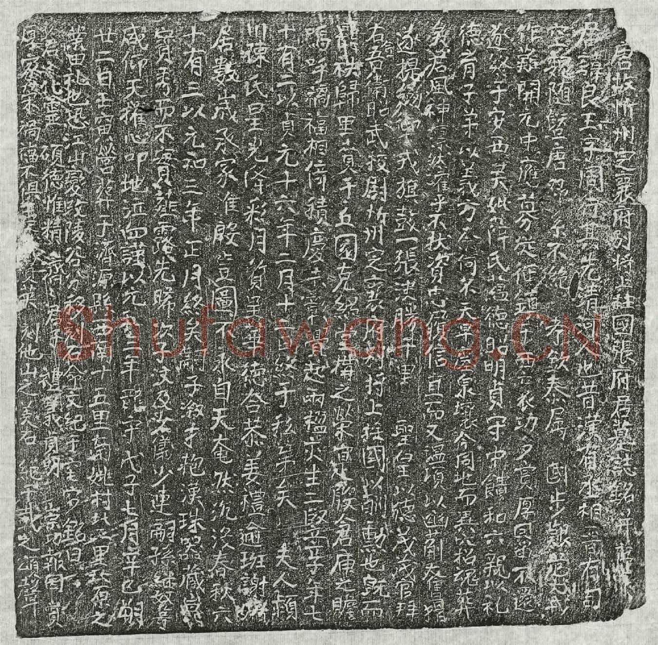 唐张良玉墓誌(唐故忻州定襄府别将上柱国张府君墓誌铭并序)