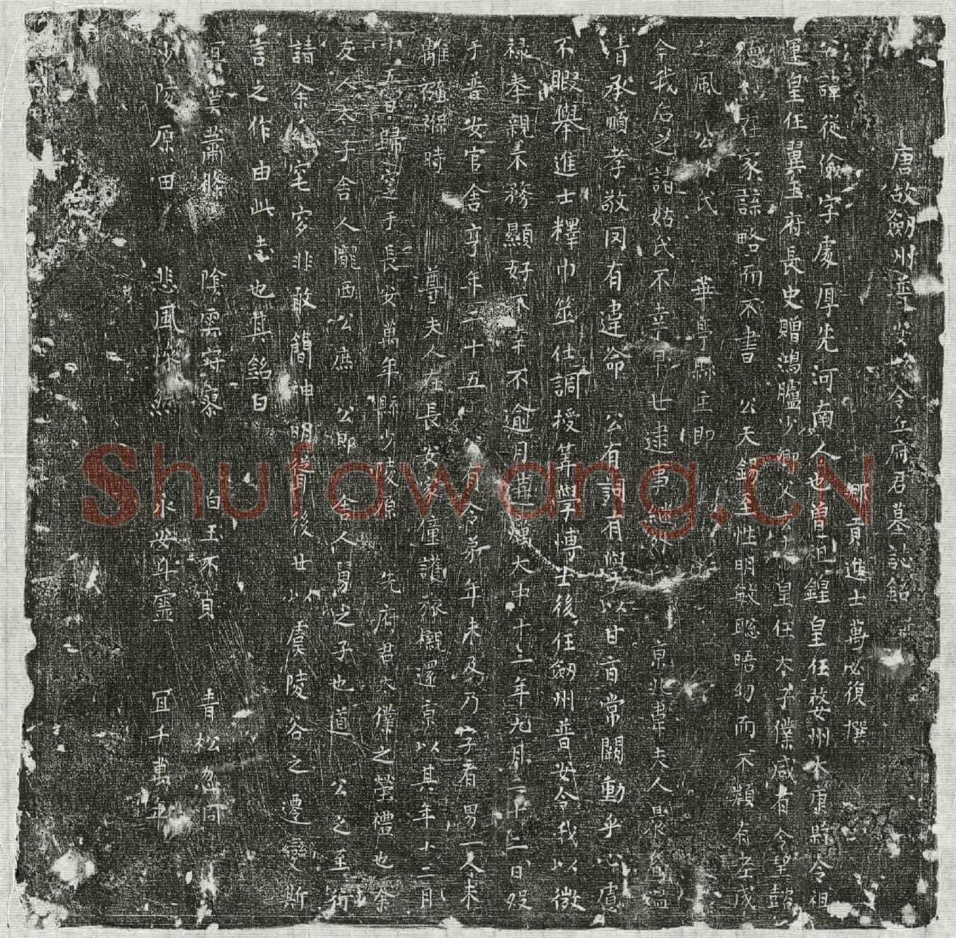 唐丘从俭墓誌(唐故剑州普安县令丘府君墓誌铭并序)