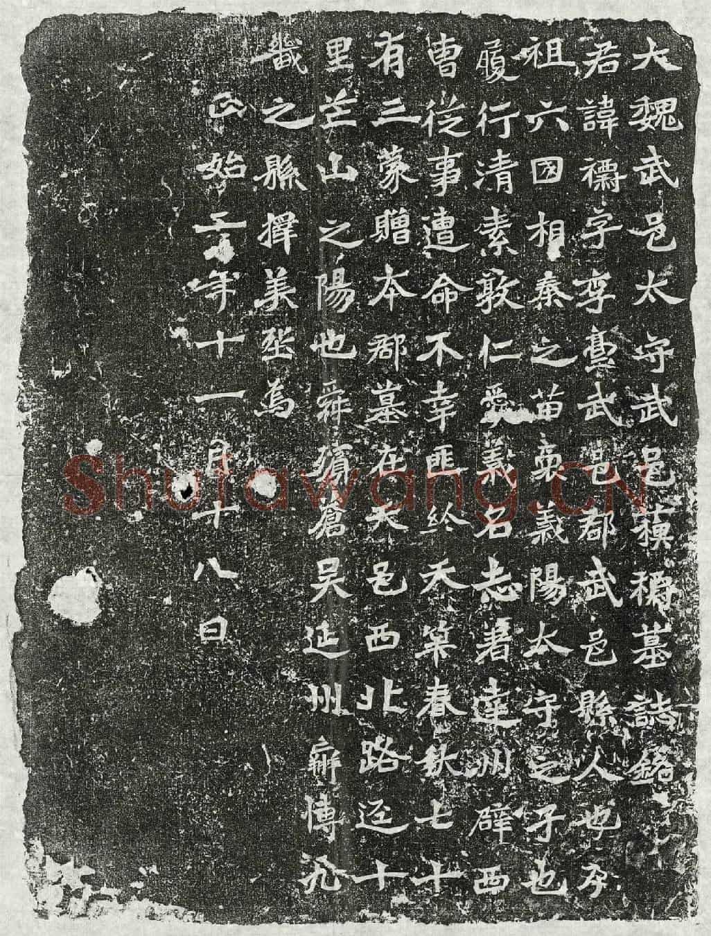 北朝苏标墓誌(大魏武邑太守武邑苏标墓誌铭)