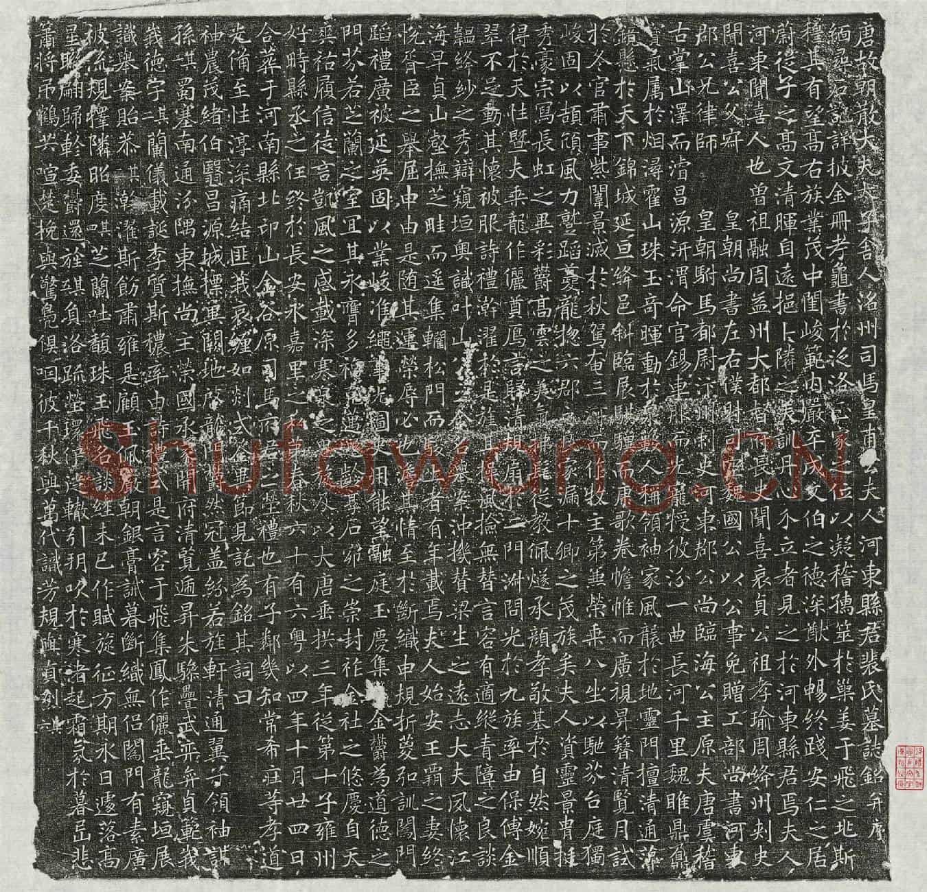 唐皇甫文房妻裴氏墓誌(唐故朝散大夫太子舍人洺州司马皇甫公夫人河东县君裴氏墓誌铭并序)