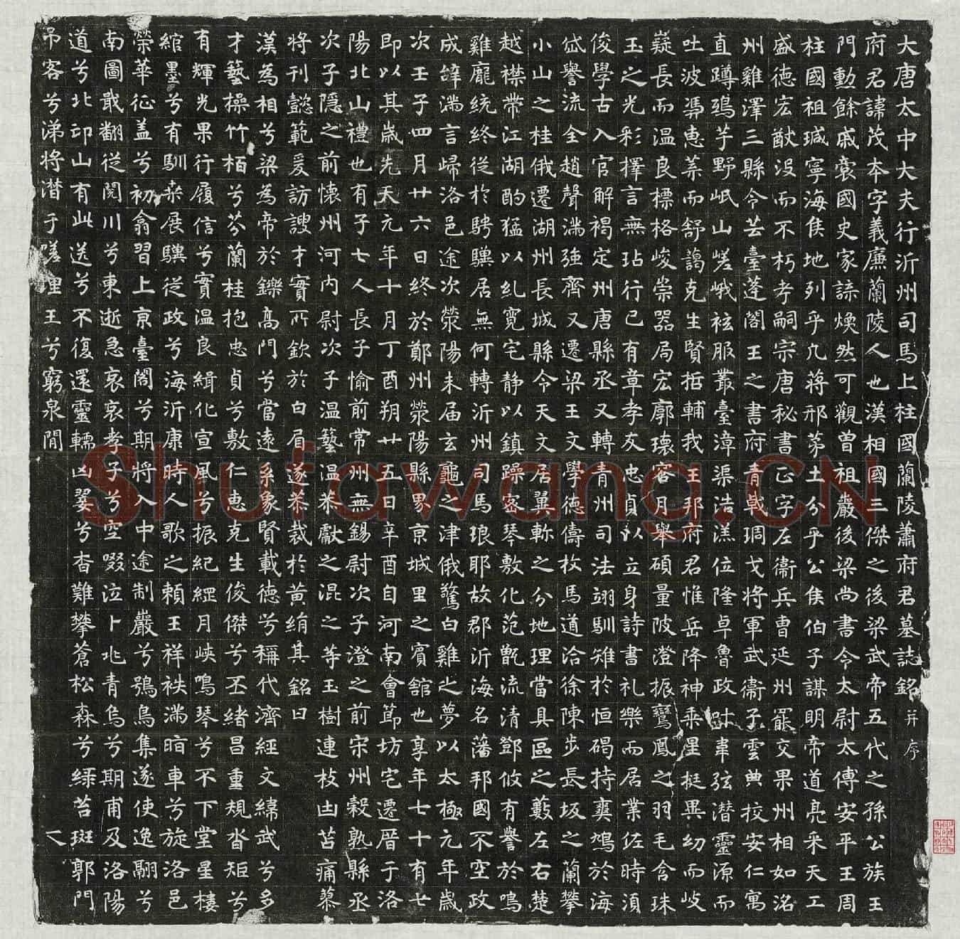 唐萧茂本墓誌(大唐太中大夫行沂州司马上柱国兰陵萧府君墓誌铭并序)