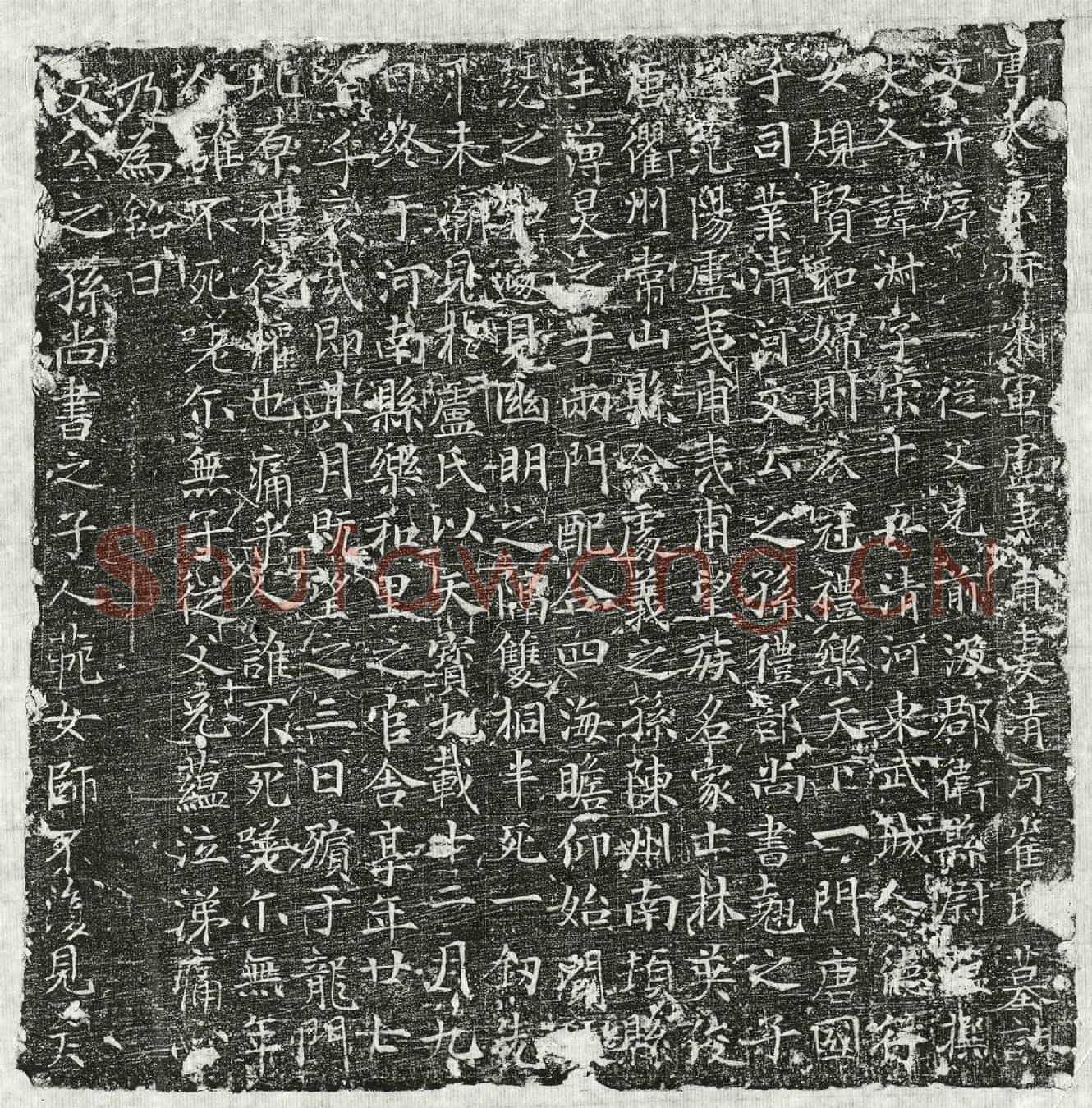 唐卢夷甫妻崔淑墓誌(唐太原府参军卢夷甫妻清河崔氏墓誌文并序)