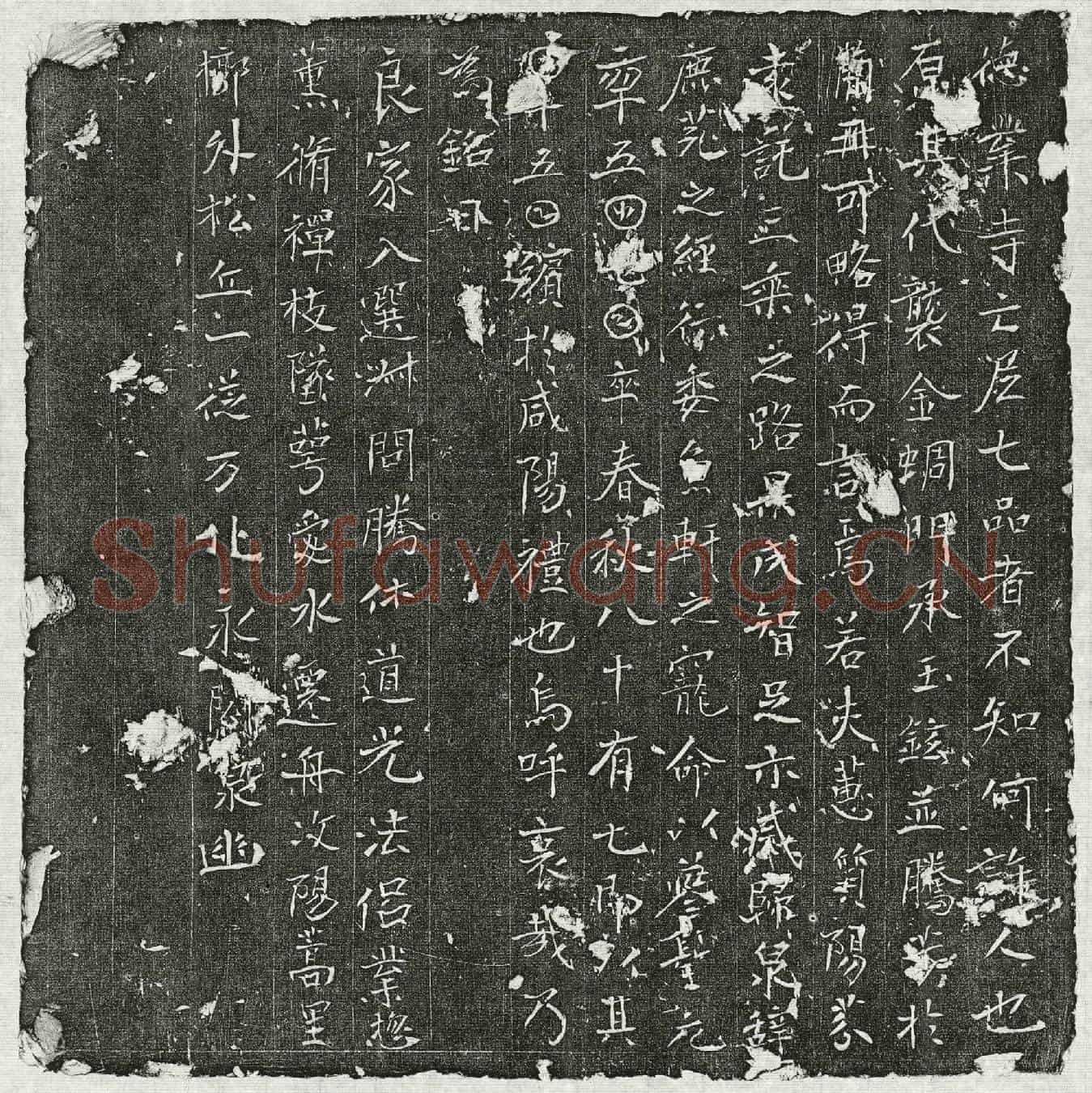 唐七品宫尼墓誌