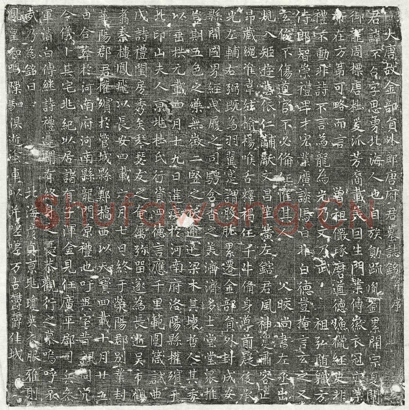 唐唐不占墓誌(大唐故金部员外郎唐府君墓誌铭并序)