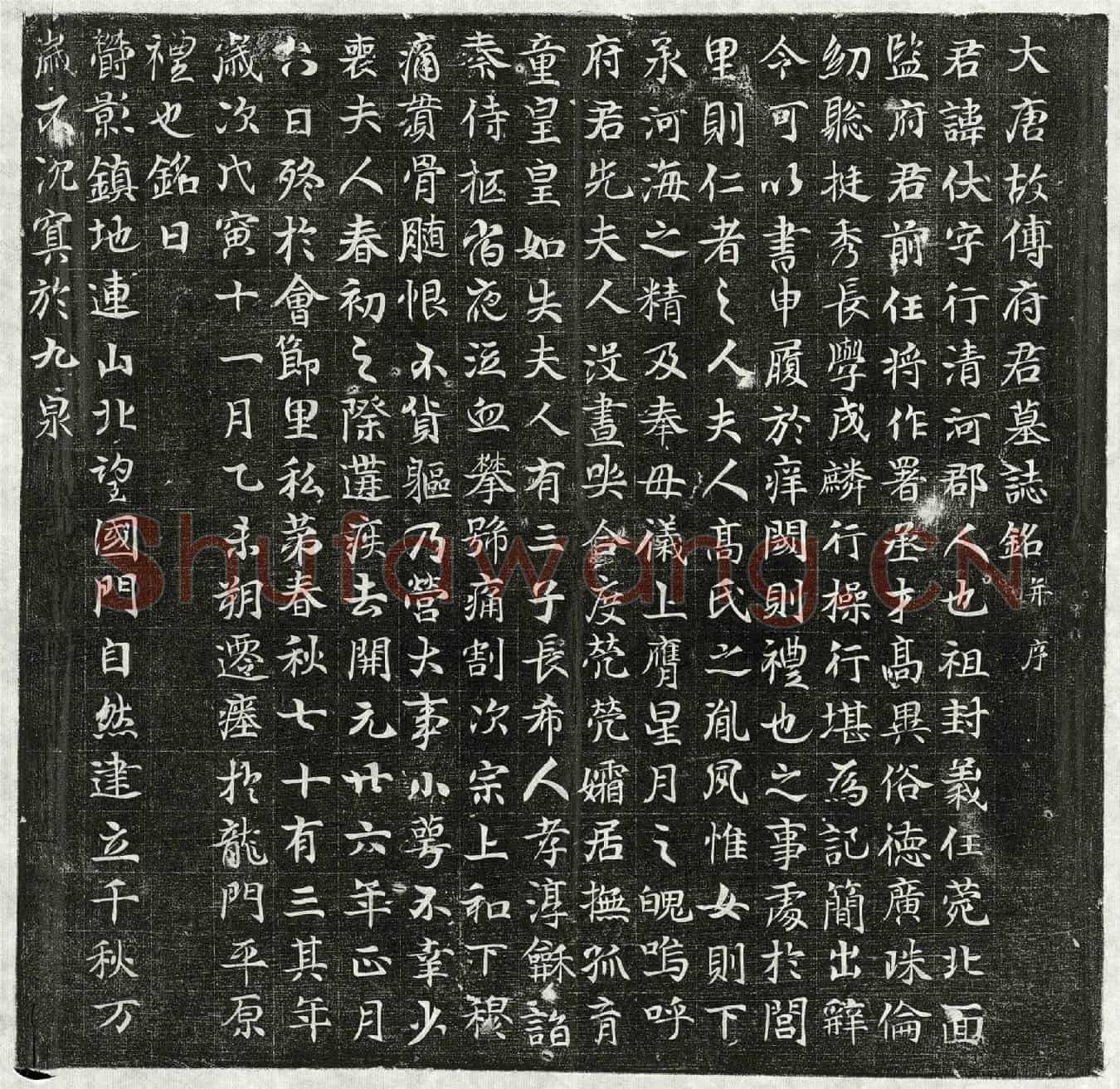 唐傅伏墓誌(大唐故傅府君墓誌铭并序)