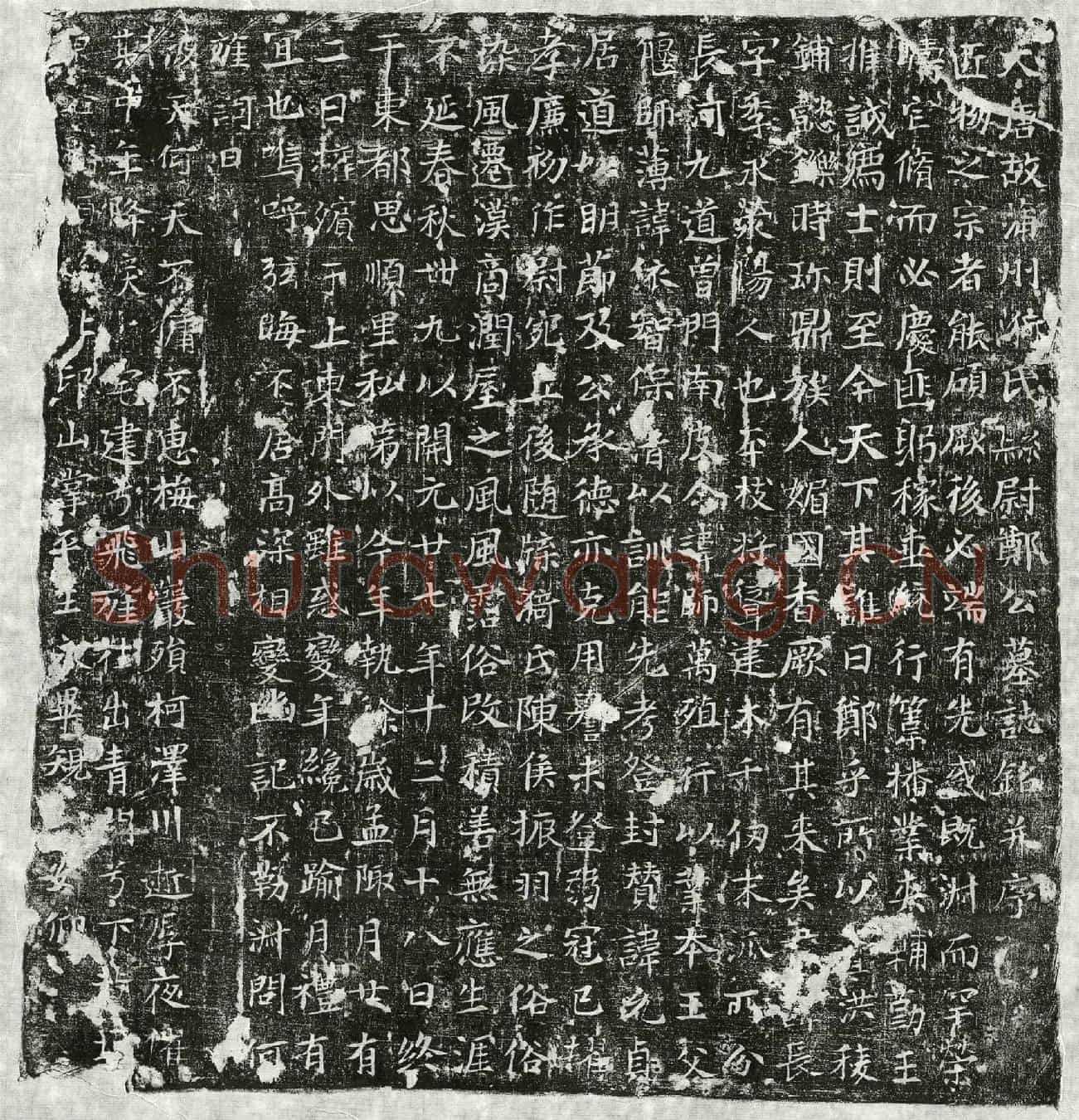 唐郑长墓誌(大唐故蒲州漪氏县尉郑公墓誌铭并序)