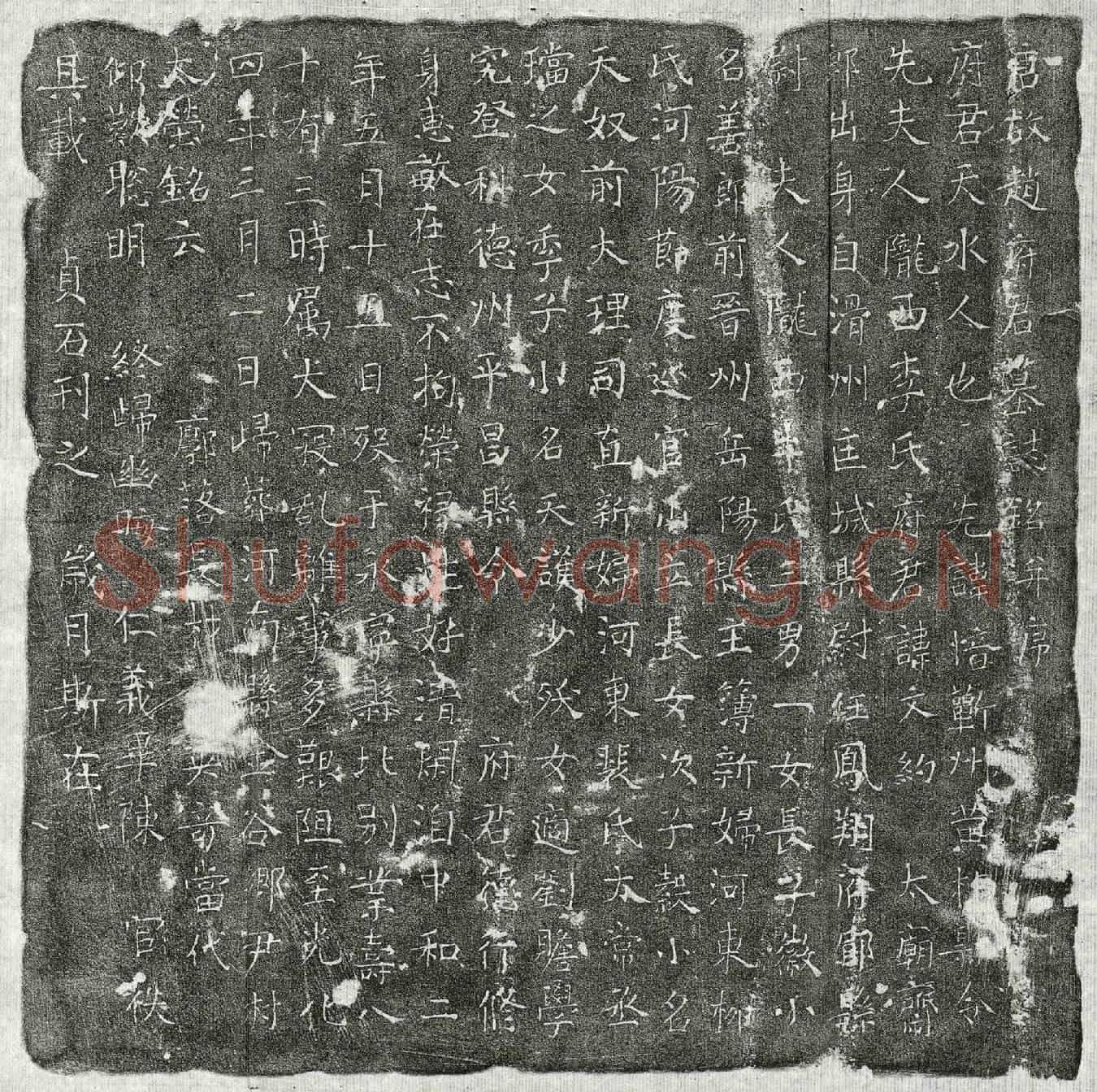 唐赵文约墓誌(唐故赵府君墓誌铭并序)