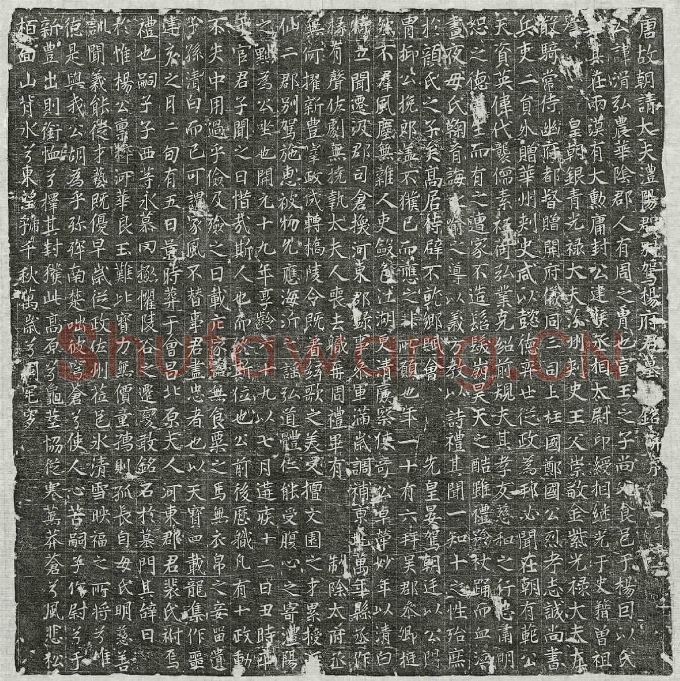 唐杨湑墓誌(唐故朝请大夫澧阳郡别驾杨府君墓誌铭并序)