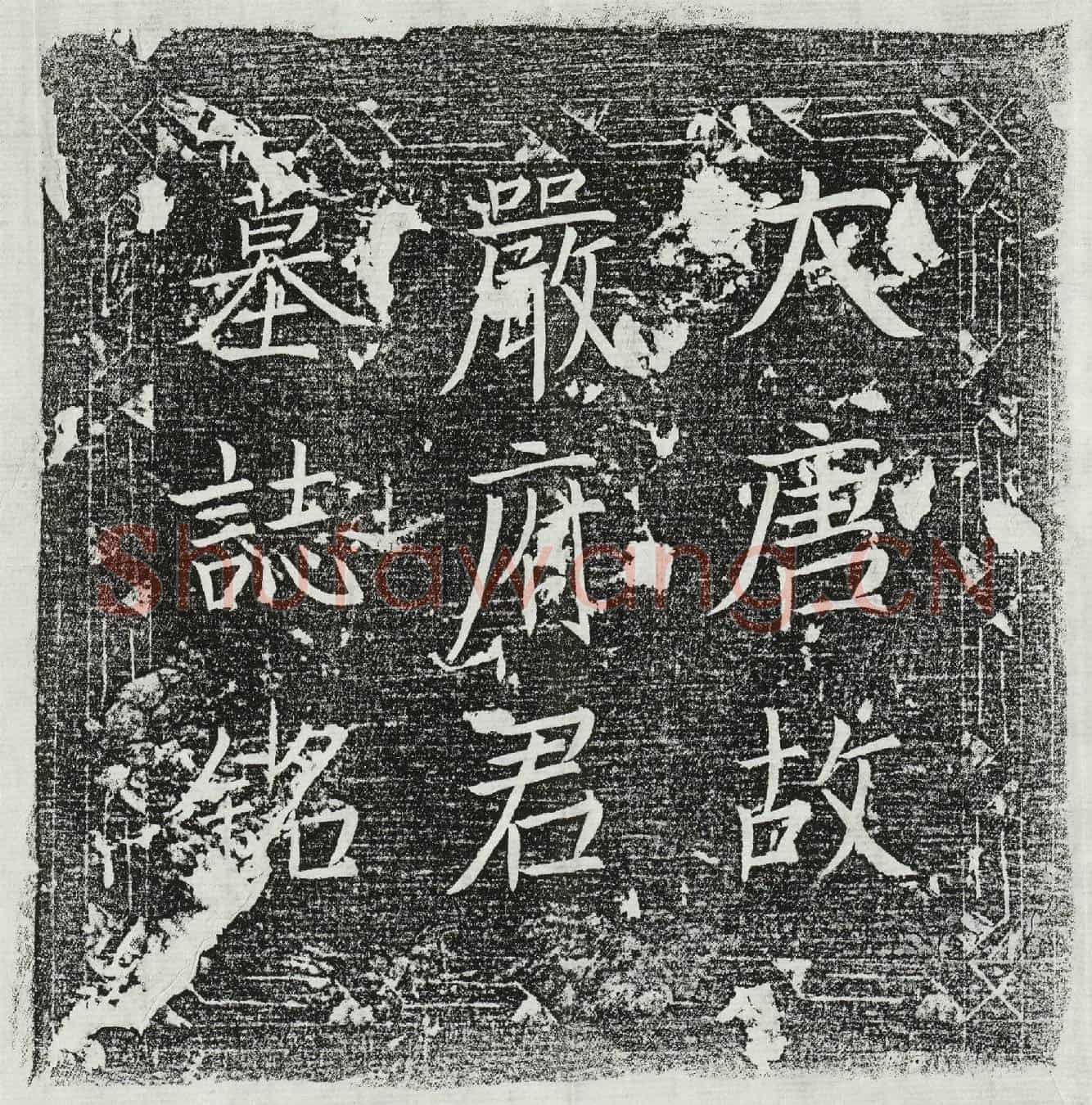 唐严章墓誌(唐故舒州宿松县尉严府君墓誌铭并序)