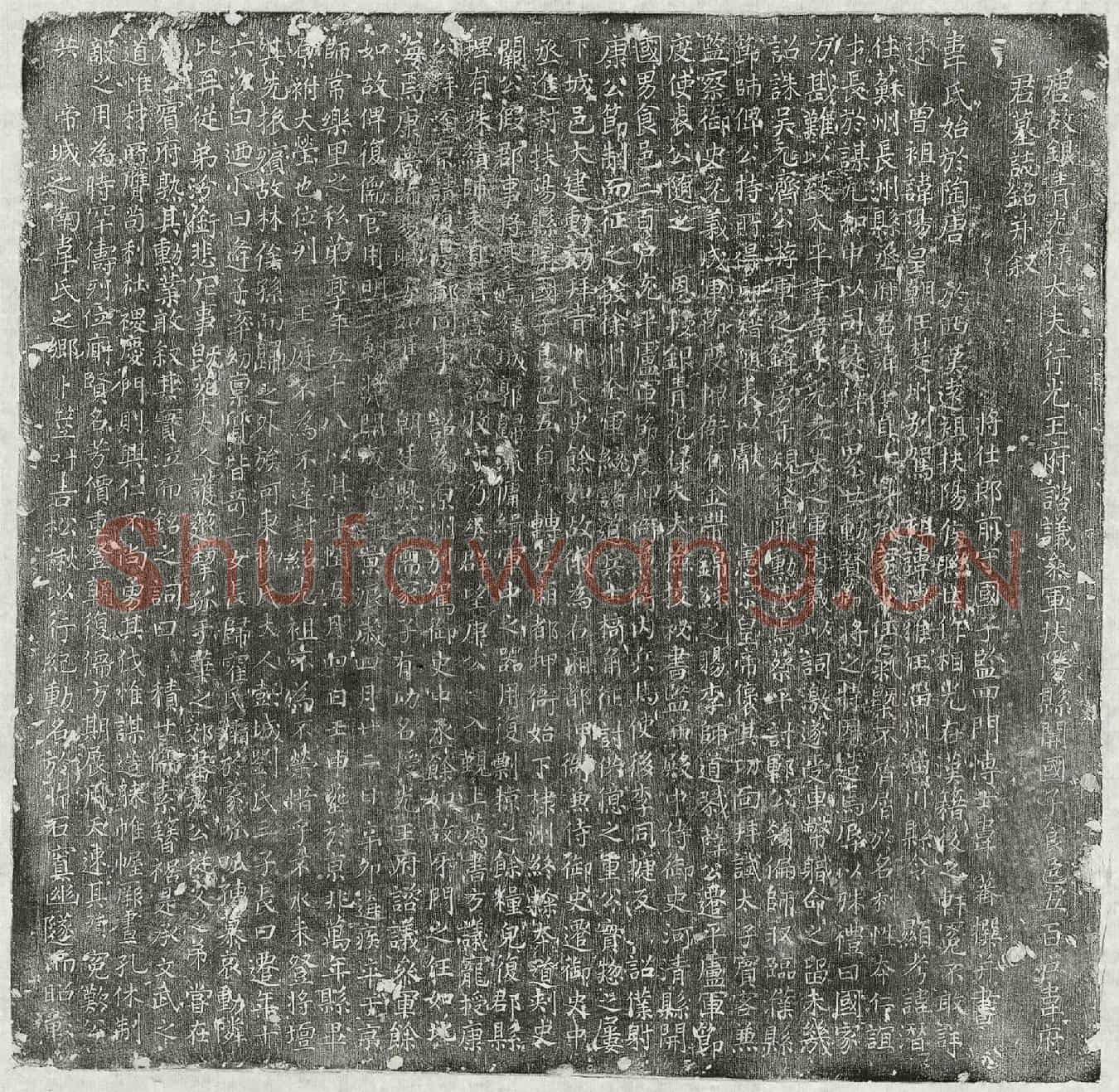 唐韦全直墓誌(唐故银青光禄大夫行光王府谘议参军扶阳县开国子食邑五百户韦府君墓誌铭并叙)