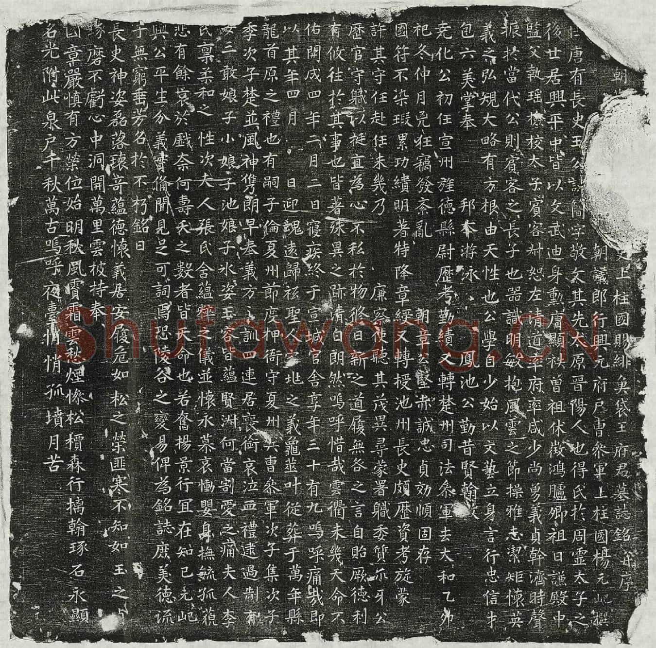 唐王简墓誌(□□朝散□□□□□□史上柱国赐绯鱼袋王府君墓誌铭并序)