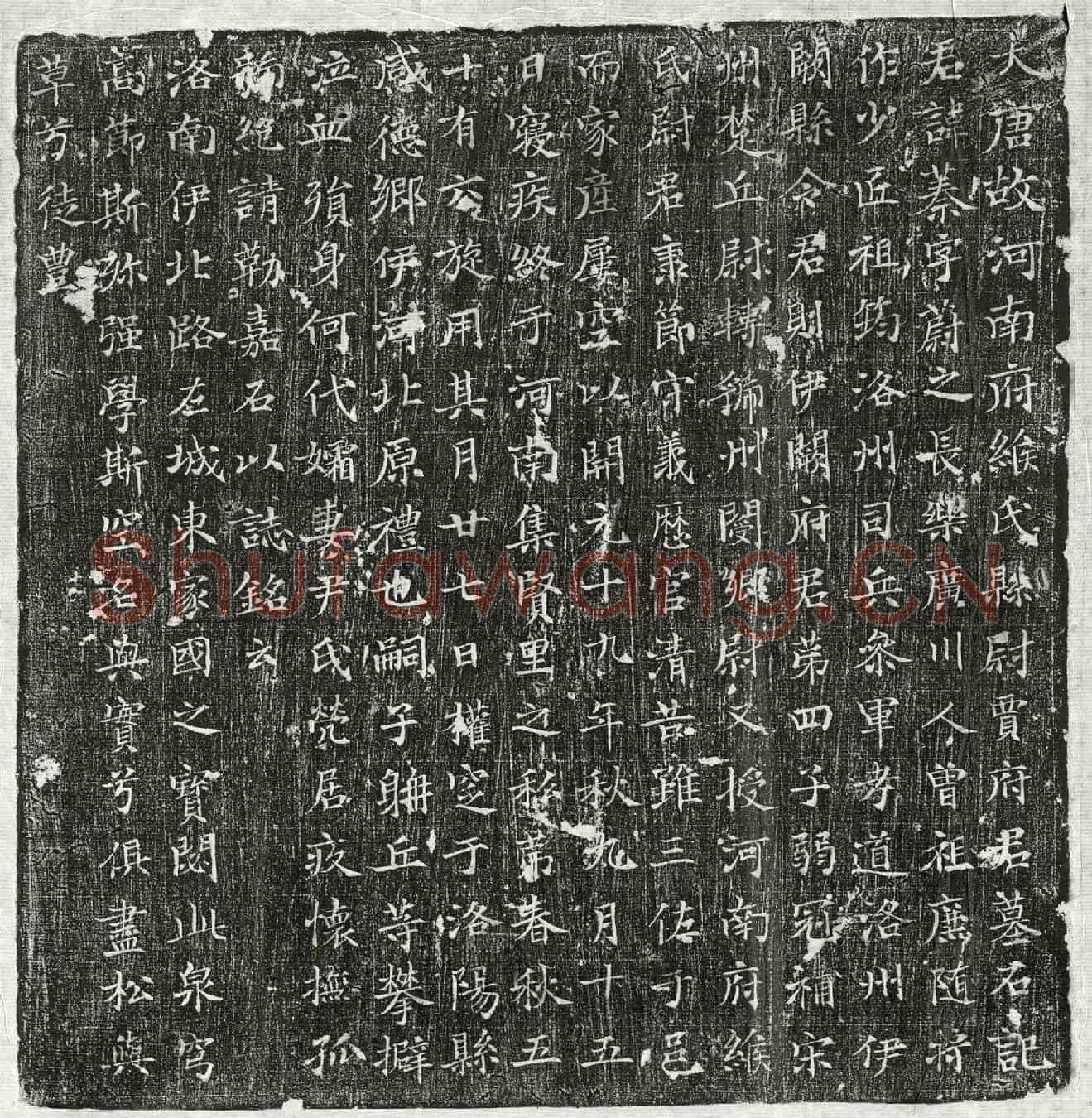 唐贾蓁墓誌(大唐故河南府缑氏县尉贾府君墓石记)