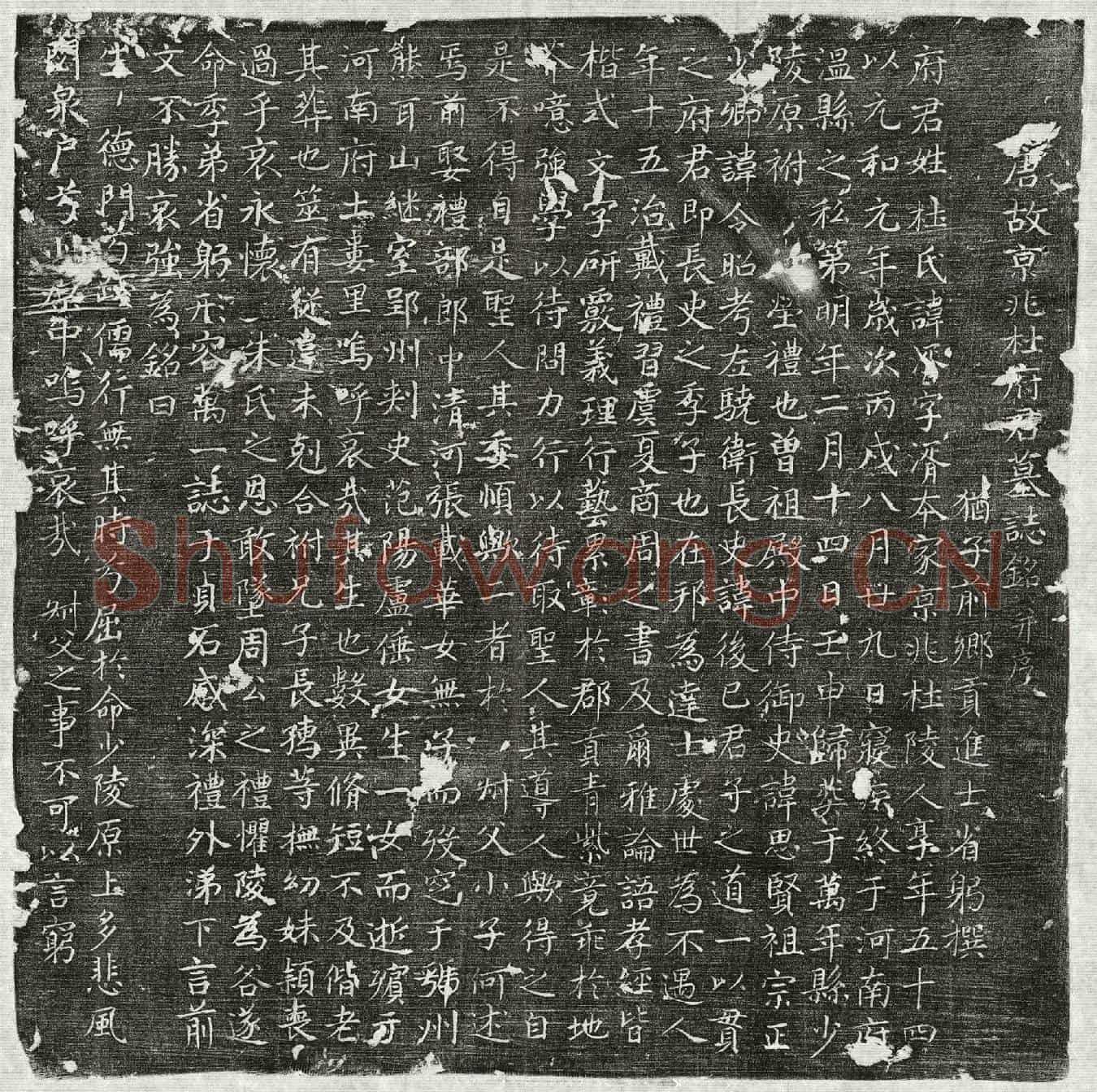 唐杜湑墓誌(唐故京兆杜府君墓誌铭并序)