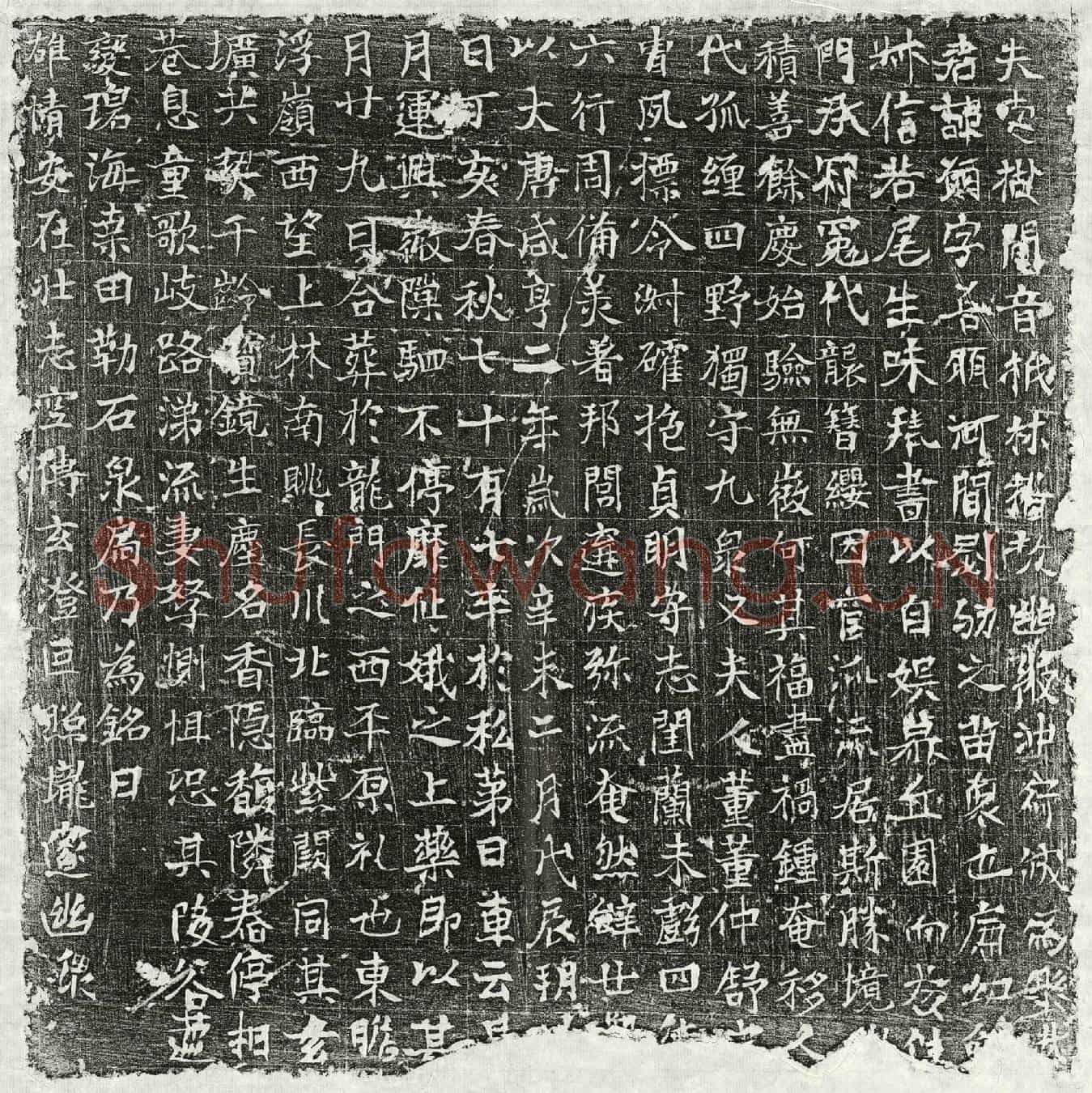 唐刘愿墓誌