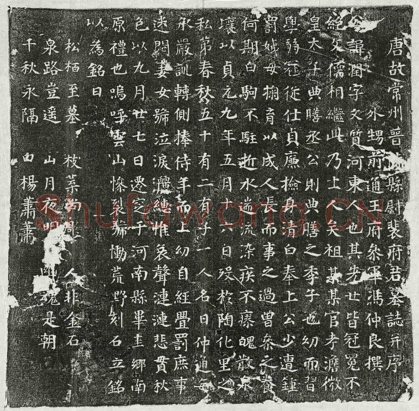 唐裴润墓誌(唐故常州晋陵县尉裴府君墓誌并序)