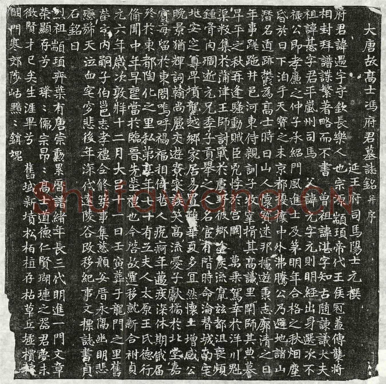 唐冯遇墓誌(大唐故高士冯府君墓誌铭并序)