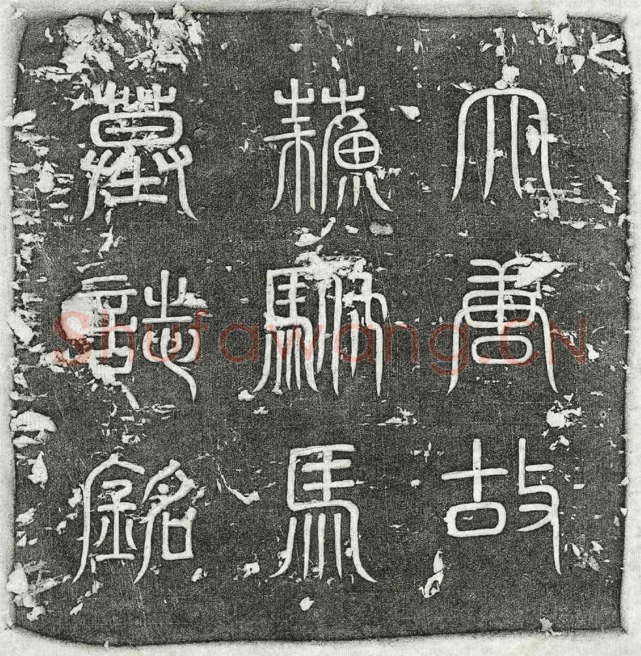 唐苏彦伯墓誌(大唐故中大夫守光禄卿驸马都尉上柱国苏公墓誌铭序)