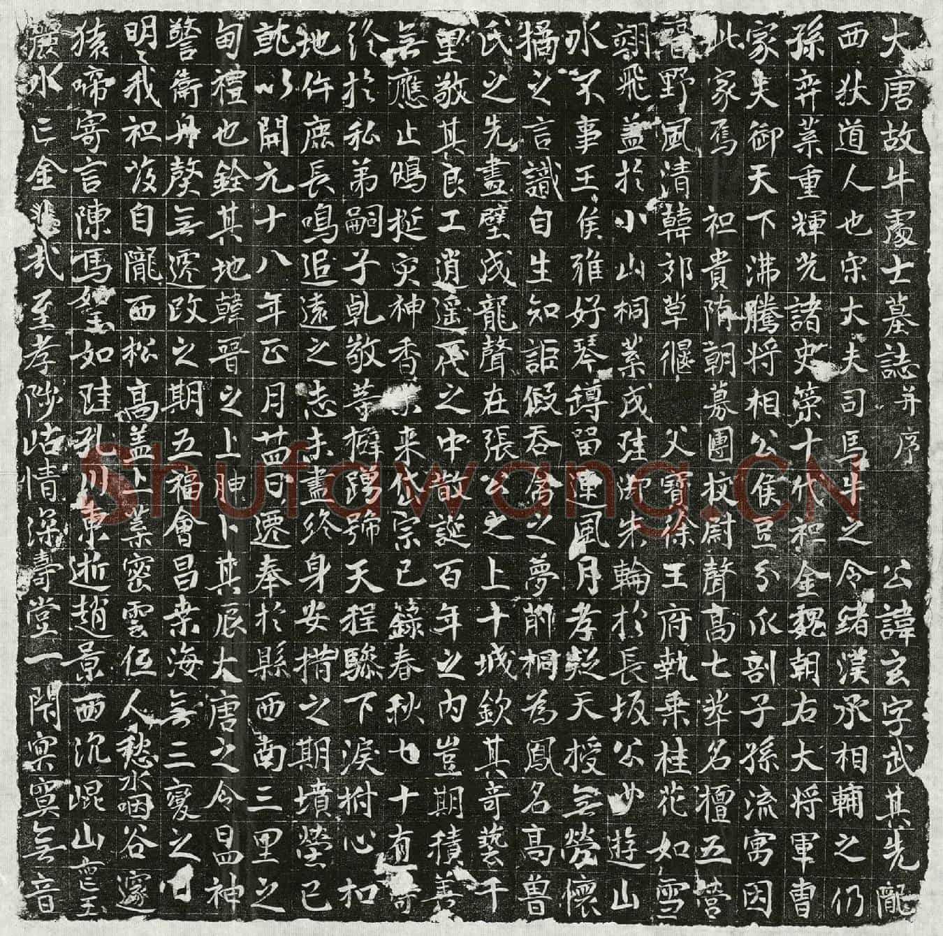唐牛玄墓誌(大唐故牛处士墓誌并序)