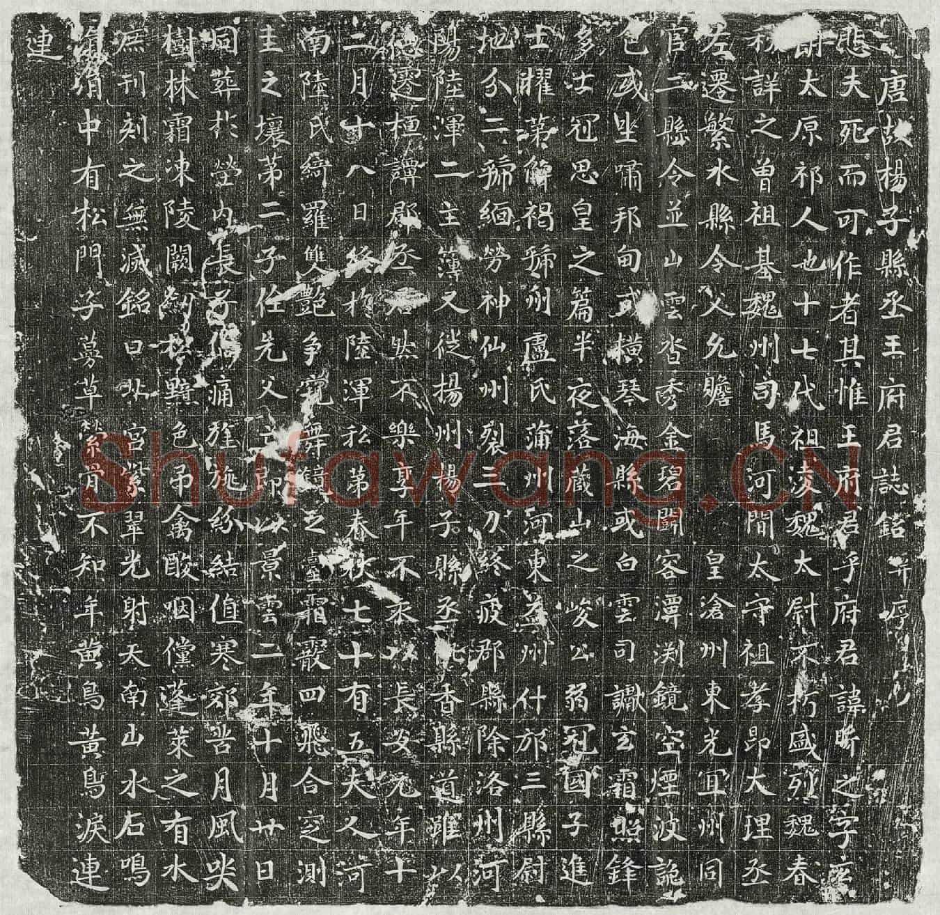 唐王昕之墓誌(唐故杨子县丞王府君誌铭并序)