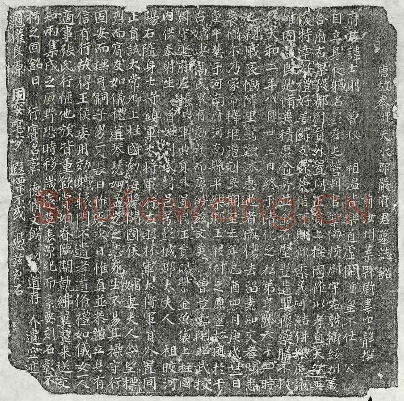 唐严士则墓誌(唐故秦州天水郡严府君墓誌铭)