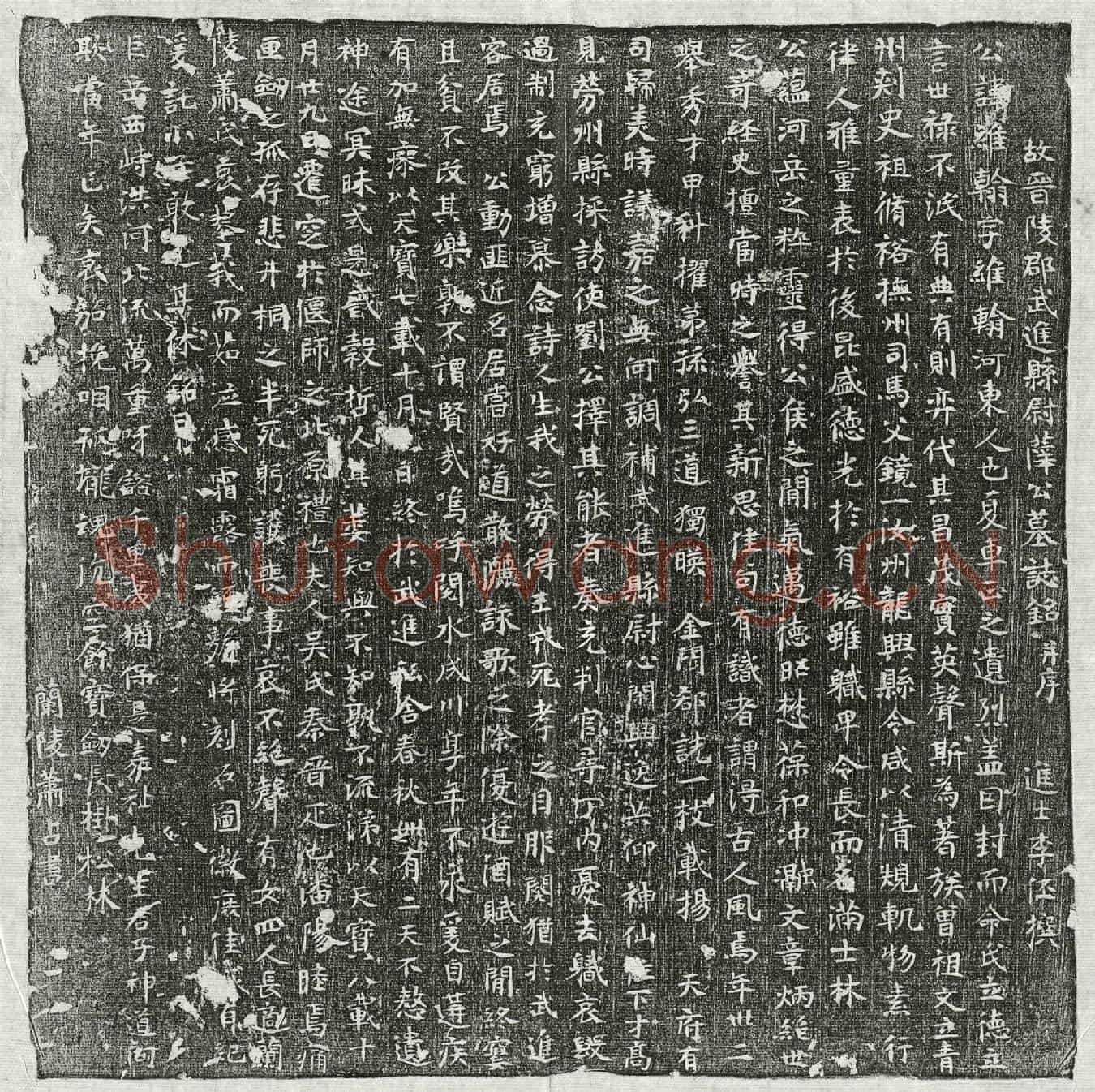 唐薛维翰墓誌(故晋陵郡武进县尉薛公墓誌铭并序)
