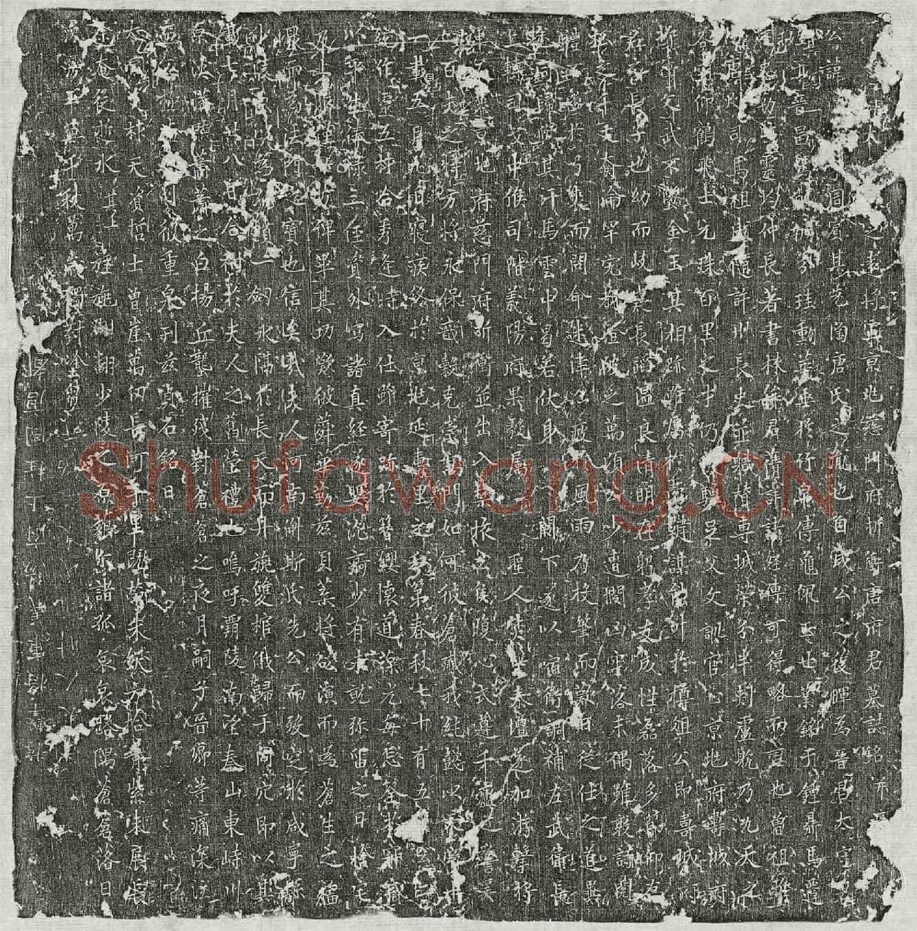 唐唐周宾墓誌(大□□定远将军京兆慈门府折冲唐府君墓誌铭并序)
