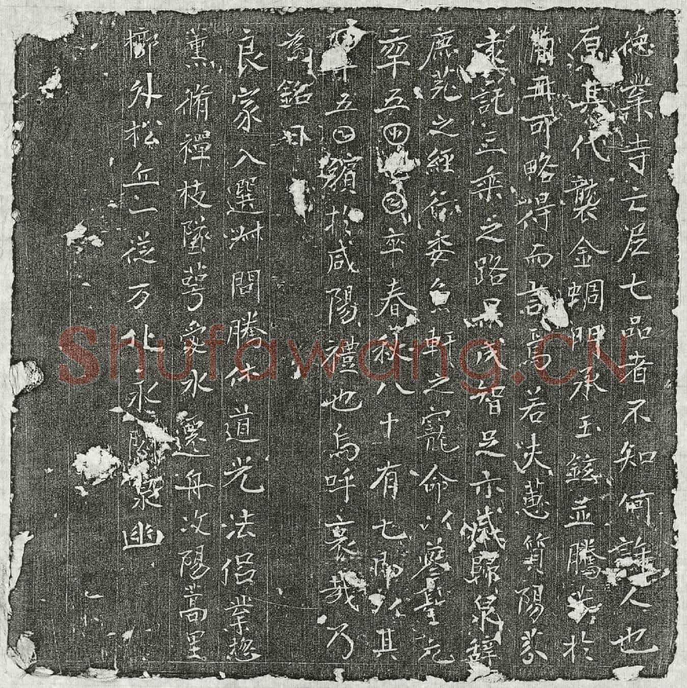 唐七品亡尼墓誌