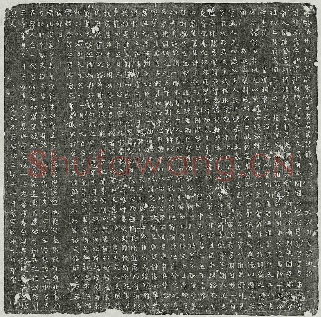 唐韦志洁墓誌(唐故陕州河北县尉京兆韦府君墓誌铭并序)