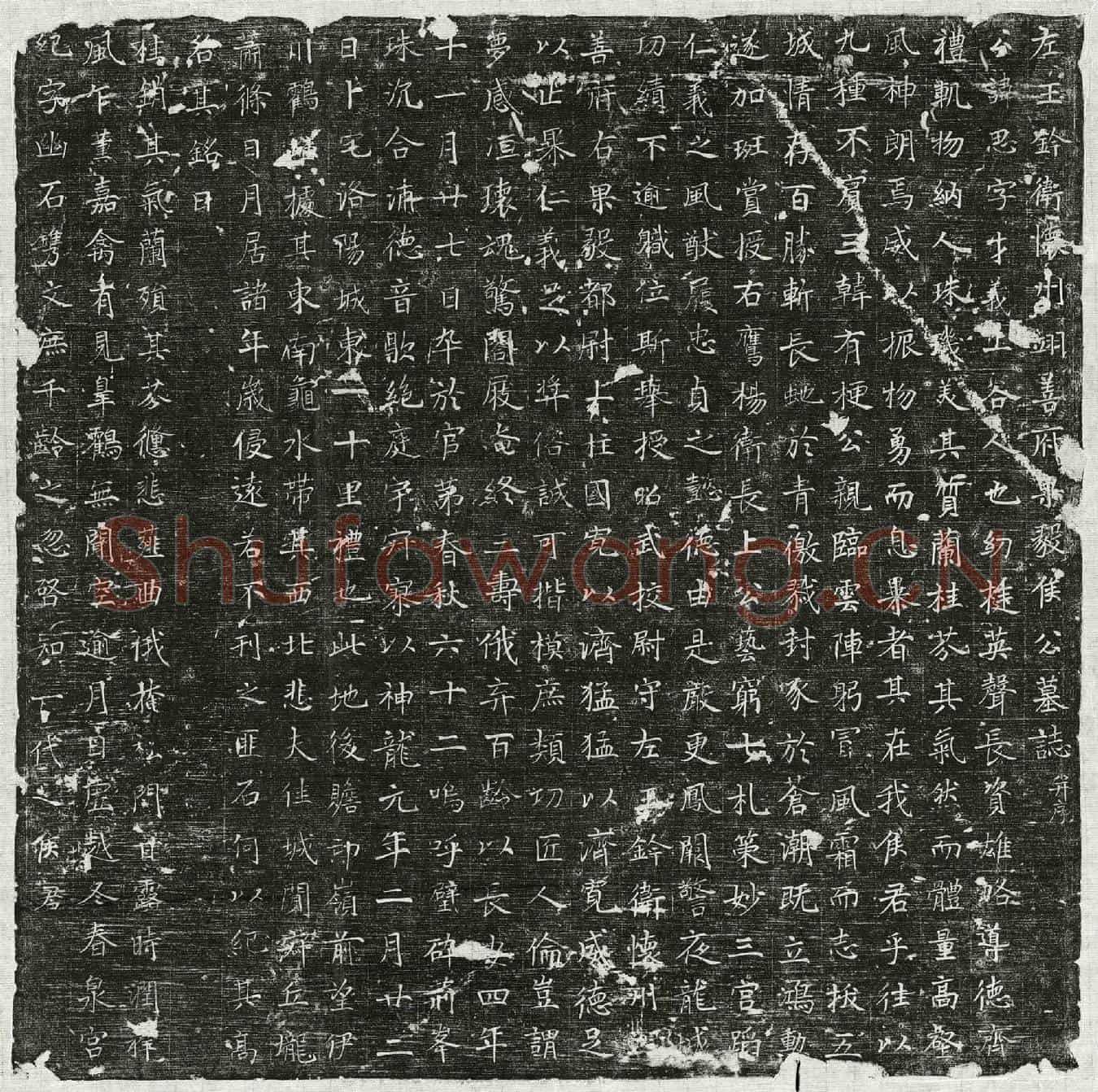 唐侯思墓誌(左玉钤卫怀州翊善府果毅侯公墓誌并序)