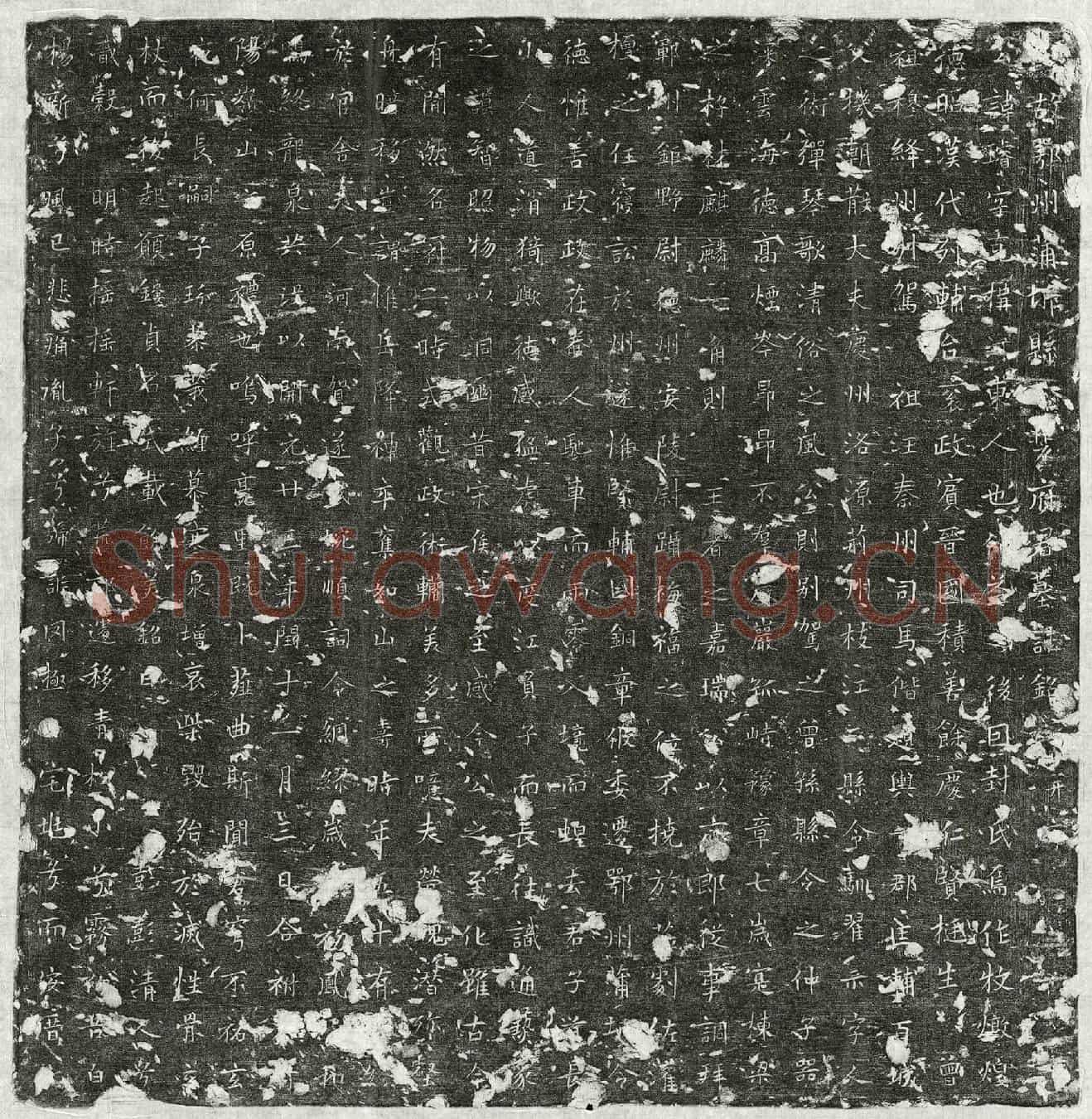 唐裴璿墓誌(故鄂州蒲圻县令裴府君墓誌铭并序)