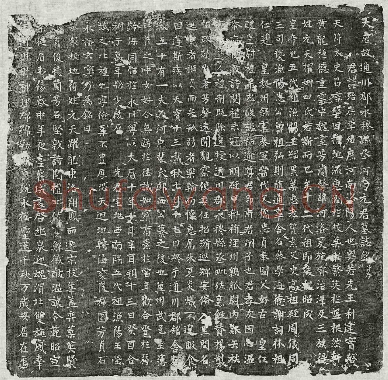 唐元殆庶墓誌(大唐故通川郡永穆县丞河南元君墓誌铭并序)