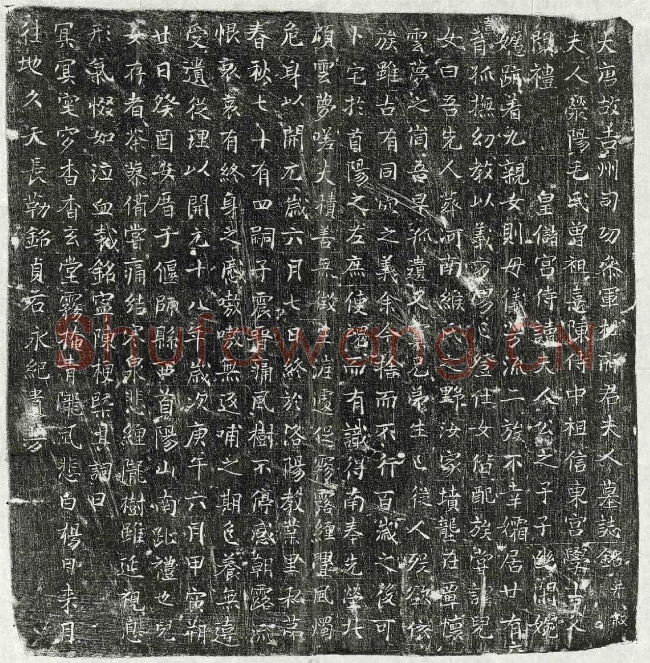 唐杜君妻毛氏墓誌(大唐故吉州司功参军杜府君夫人墓誌铭并叙)