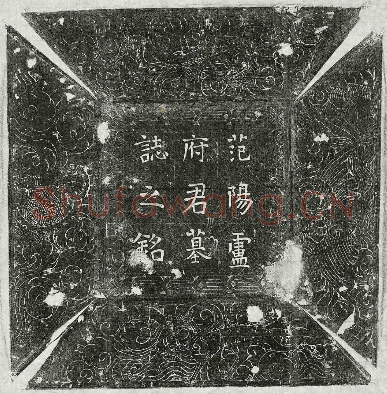 唐卢苹墓誌(范阳卢府君墓誌铭并序)