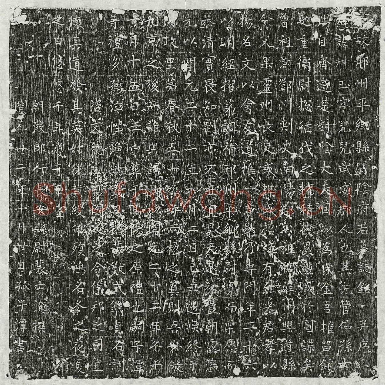 唐阴叔玉墓誌(唐故邢州平乡县尉阴府君墓誌铭并序)