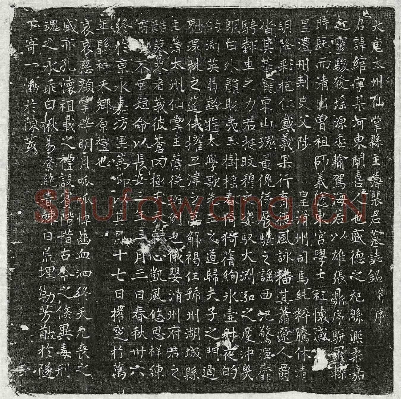 唐裴绾墓誌(大唐太州仙堂县主簿裴君墓誌铭并序)
