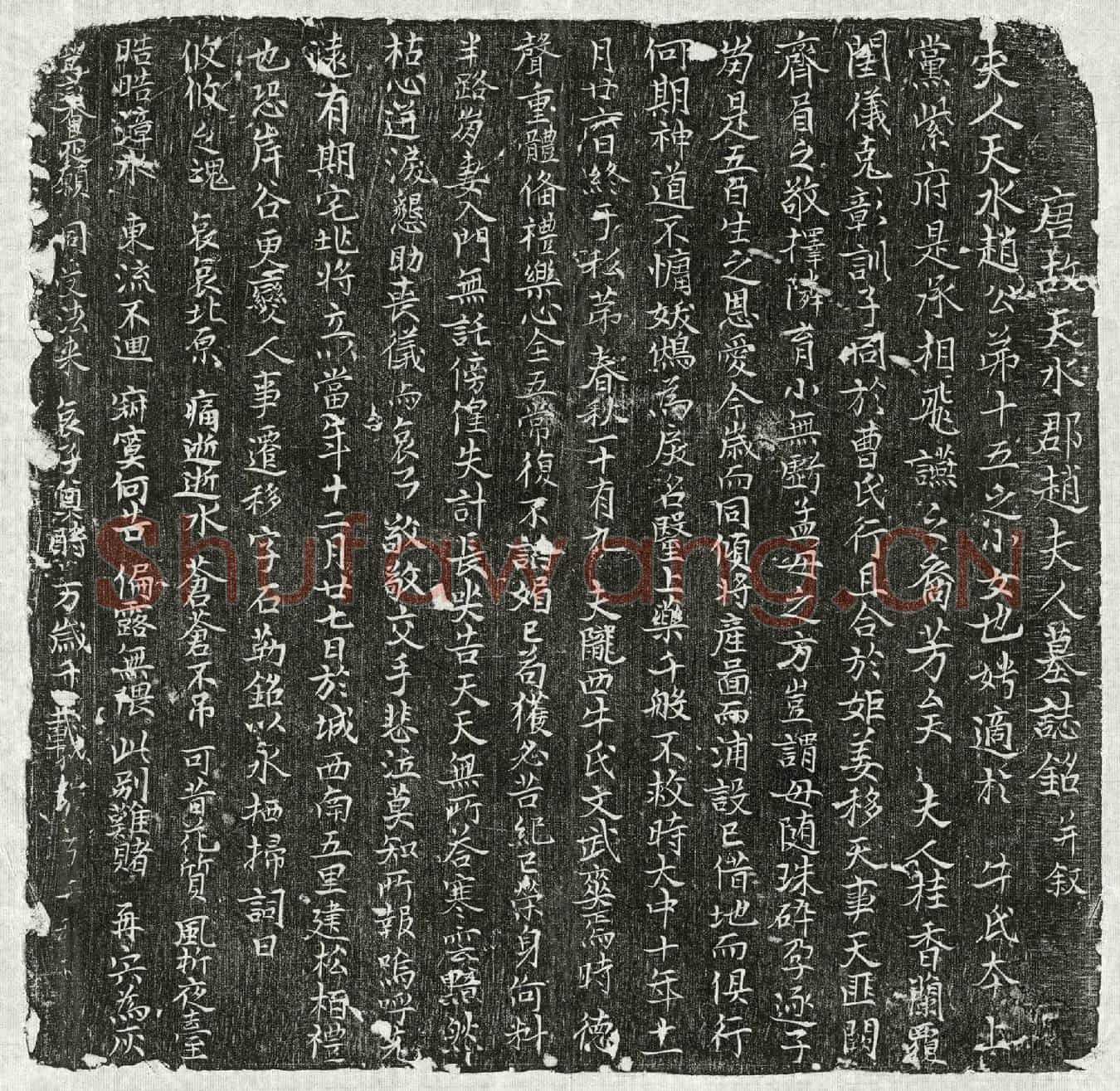 唐牛君妻赵氏墓誌(唐故天水郡赵夫人墓誌铭并叙)