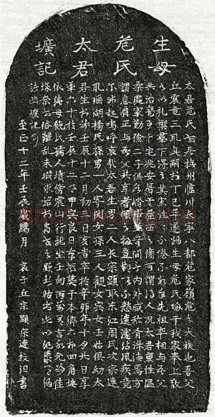元丘震龙妻危氏墓誌