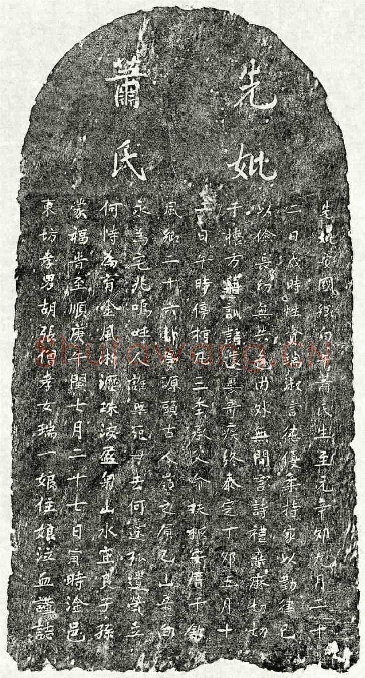元胡张僧母萧氏墓誌